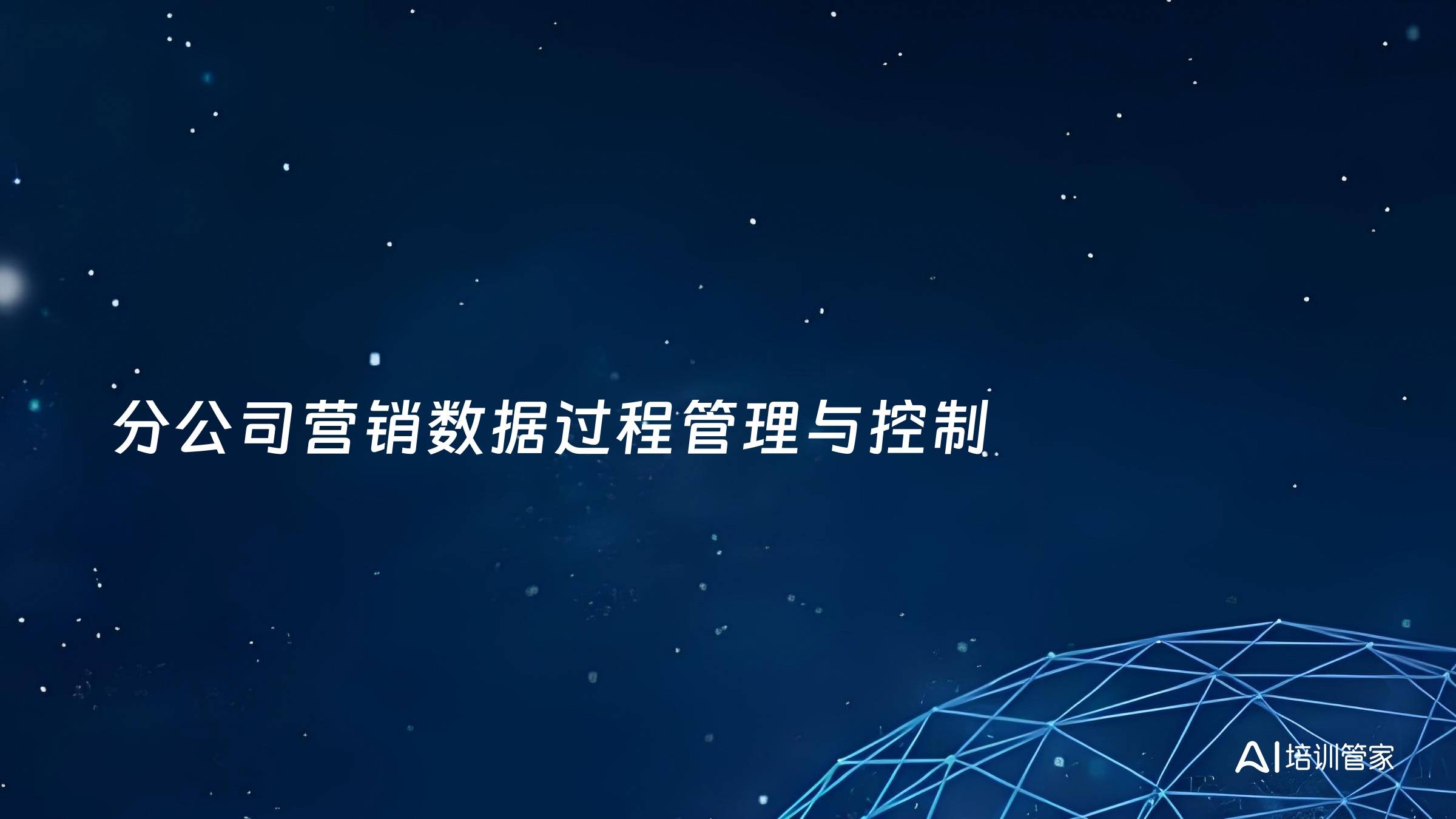 分公司营销数据过程管理与控制