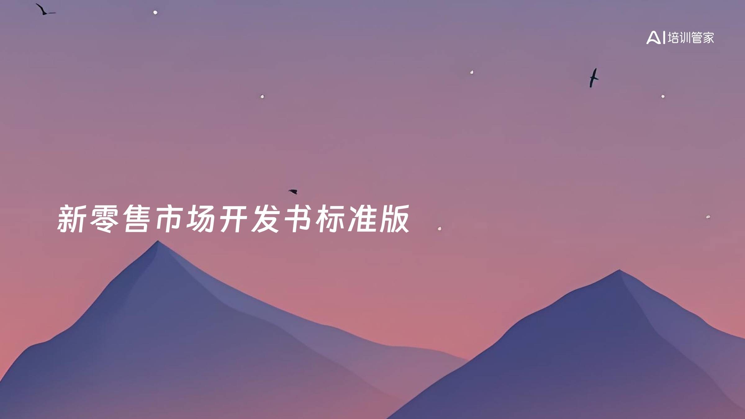 新零售市场开发书标准版