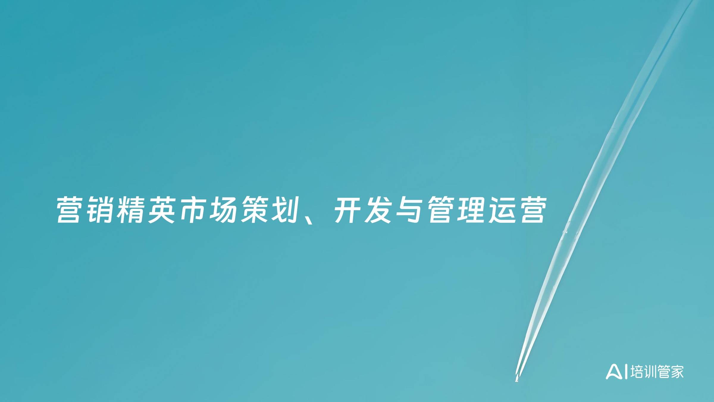 营销精英市场策划、开发与管理运营