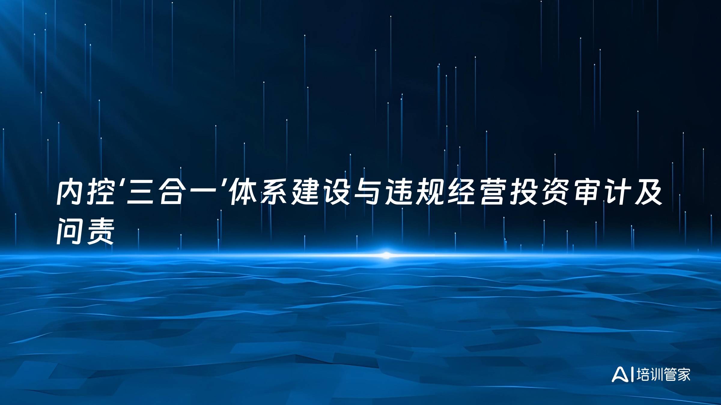 内控‘三合一’体系建设与违规经营投资审计及问责