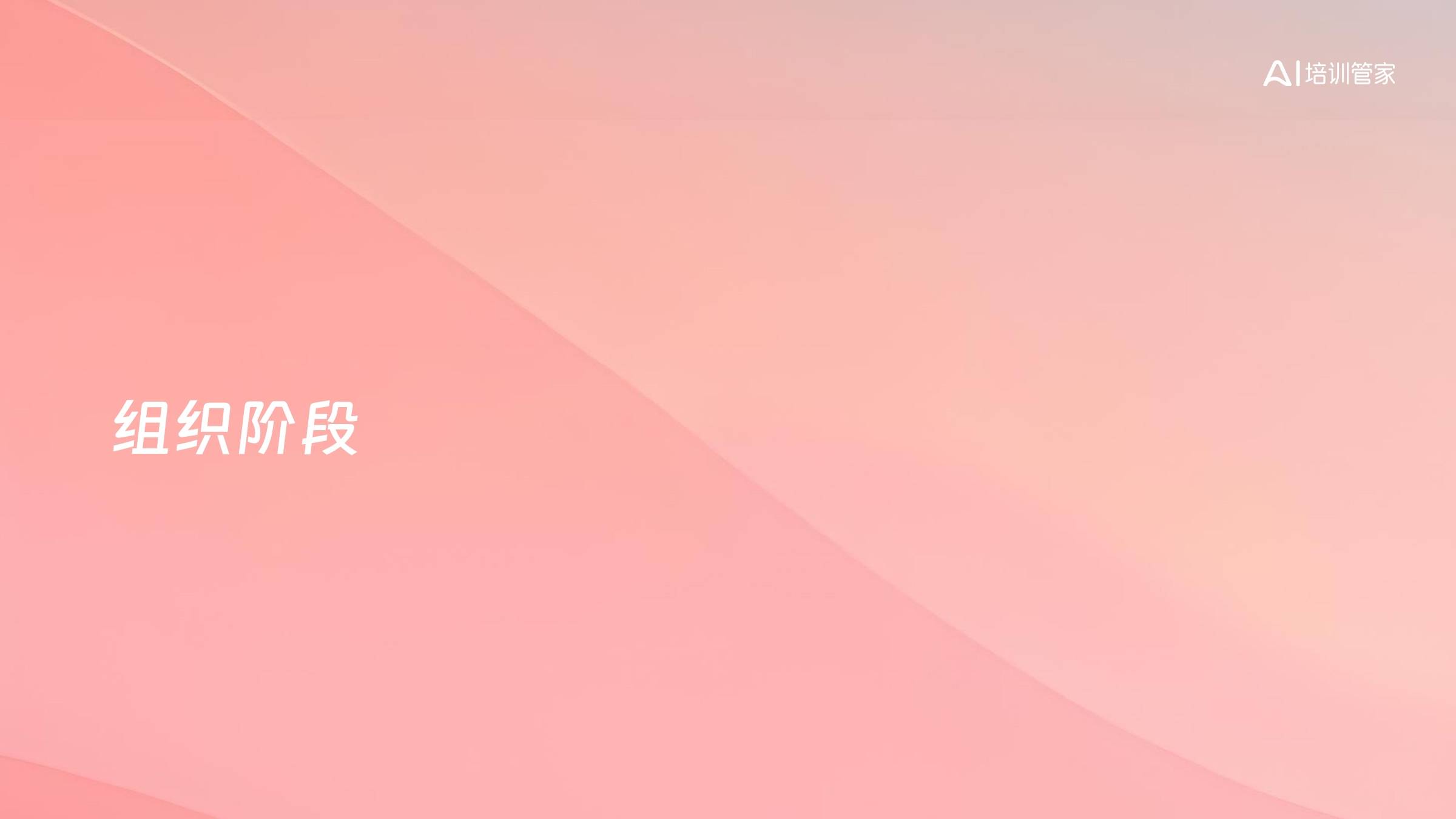 组织阶段
