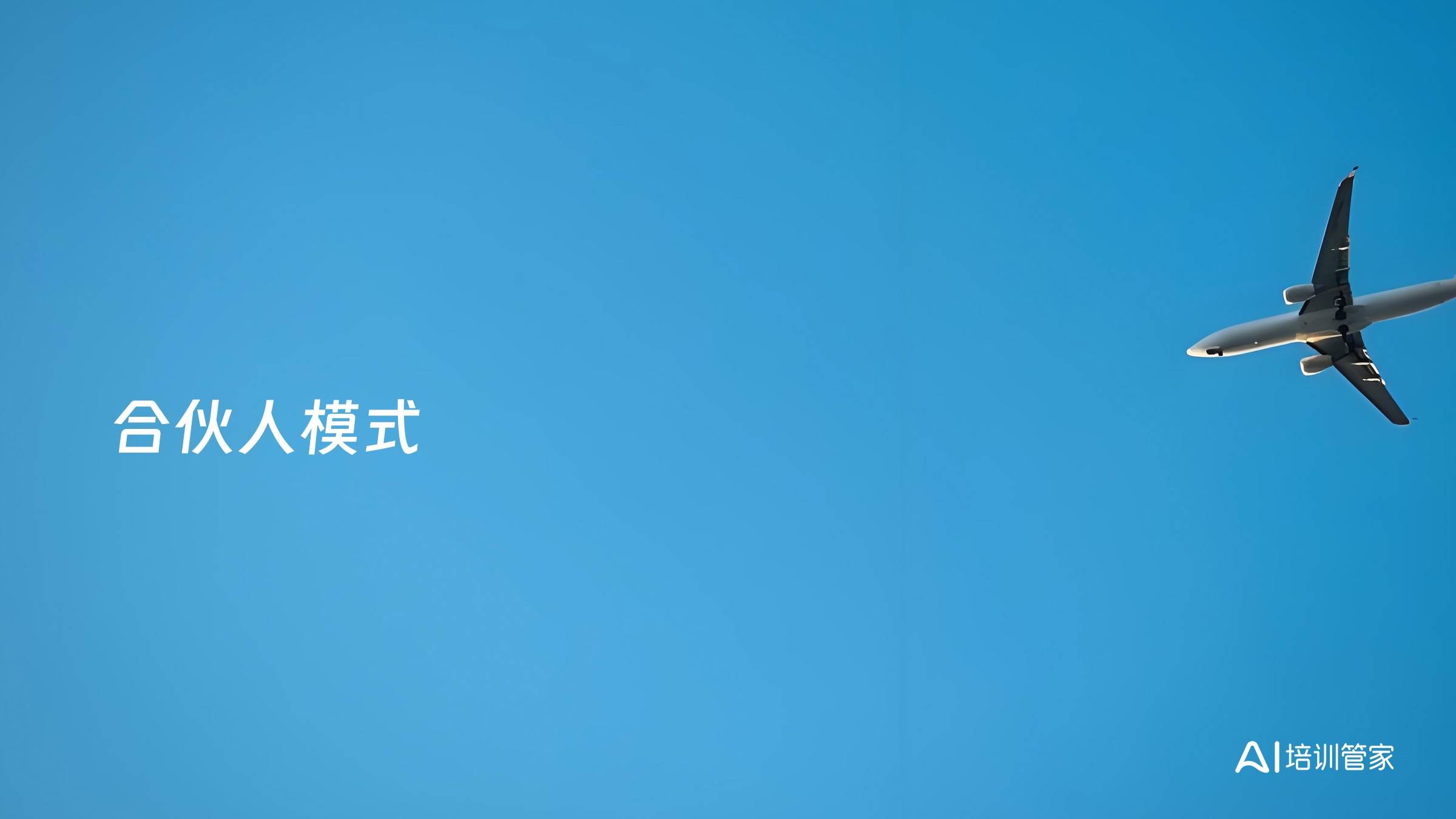 合伙人模式