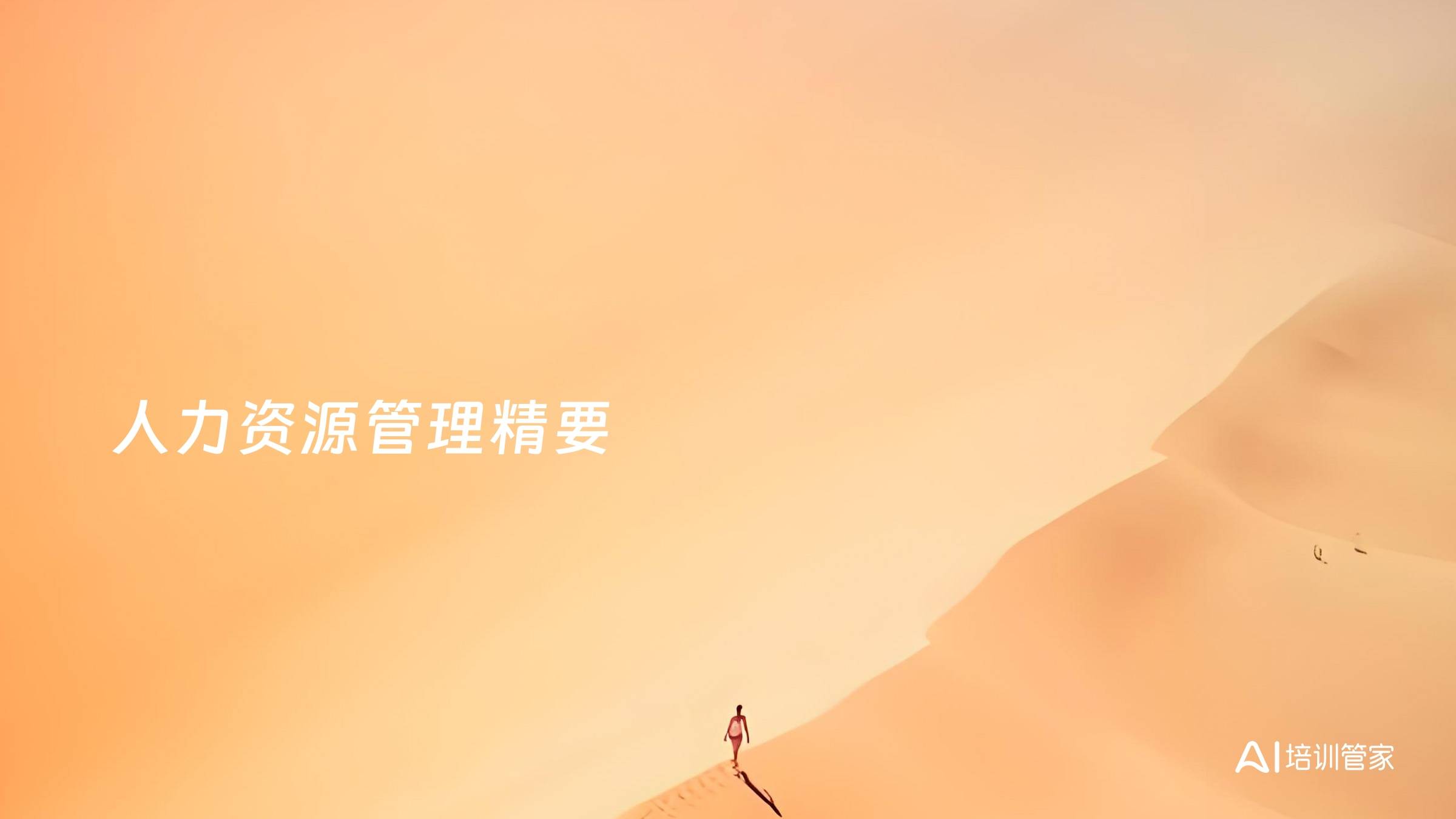 人力资源管理精要