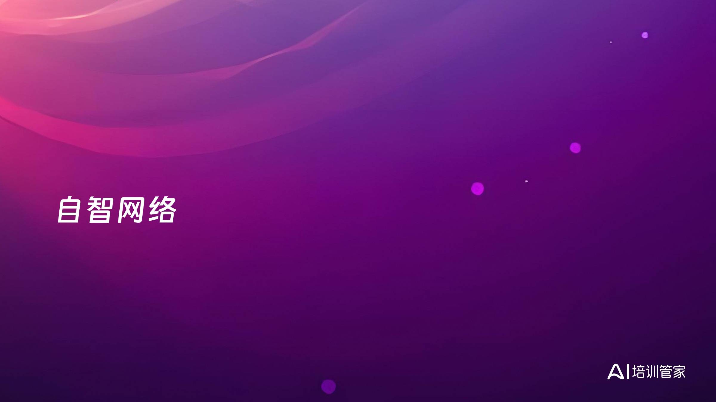 自智网络