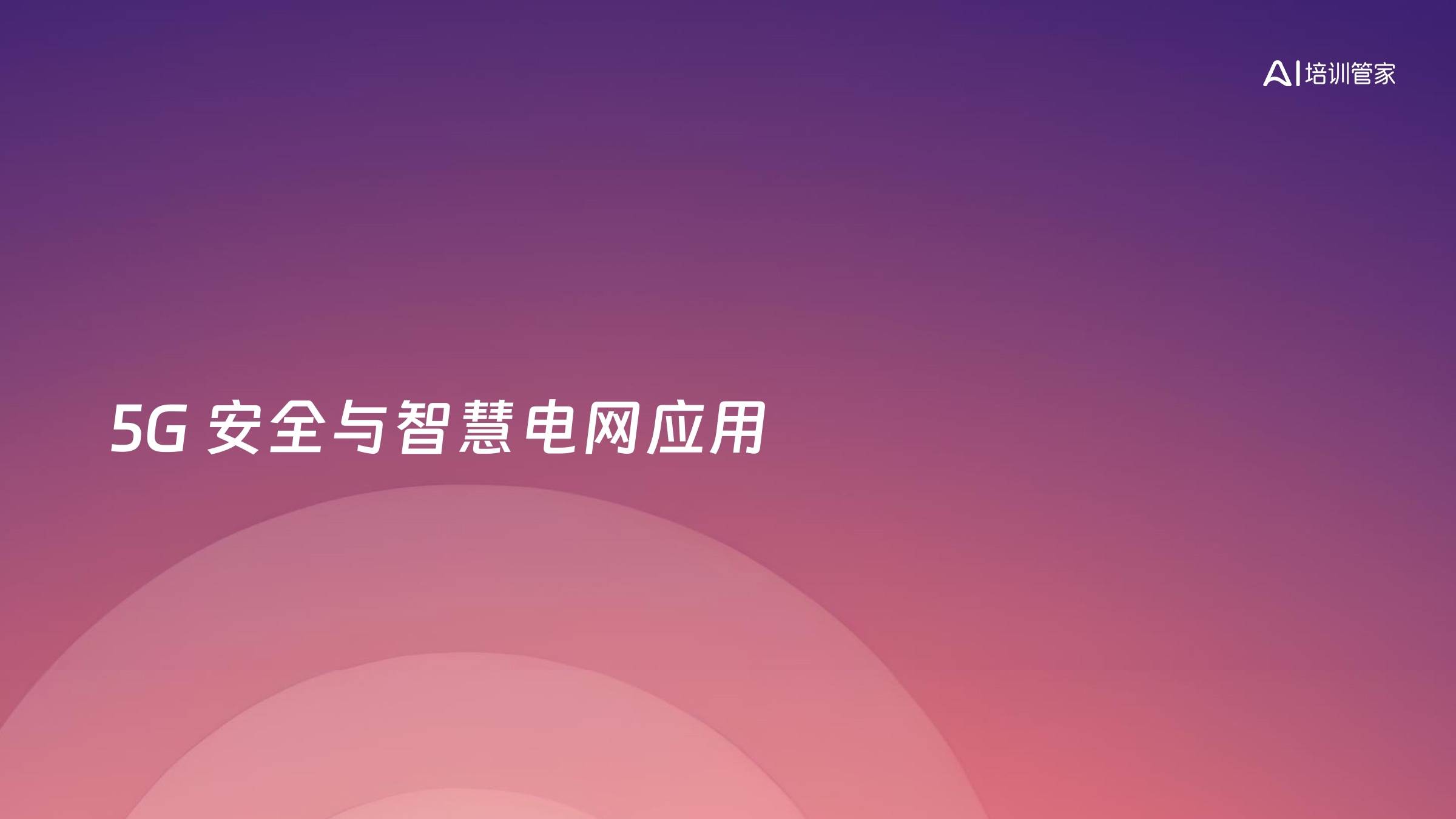 5G 安全与智慧电网应用