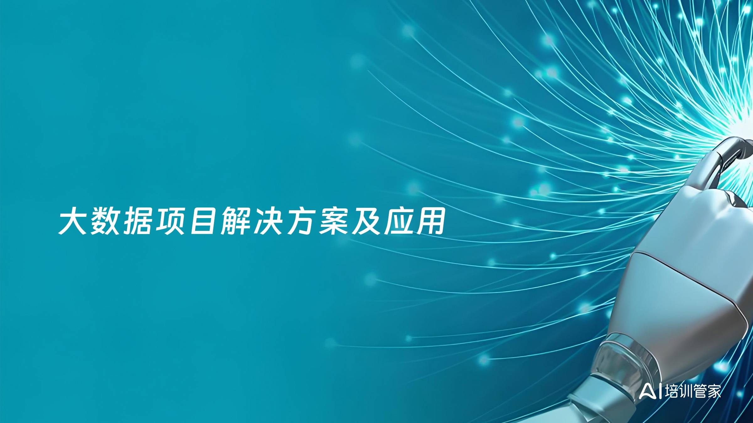 大数据项目解决方案及应用