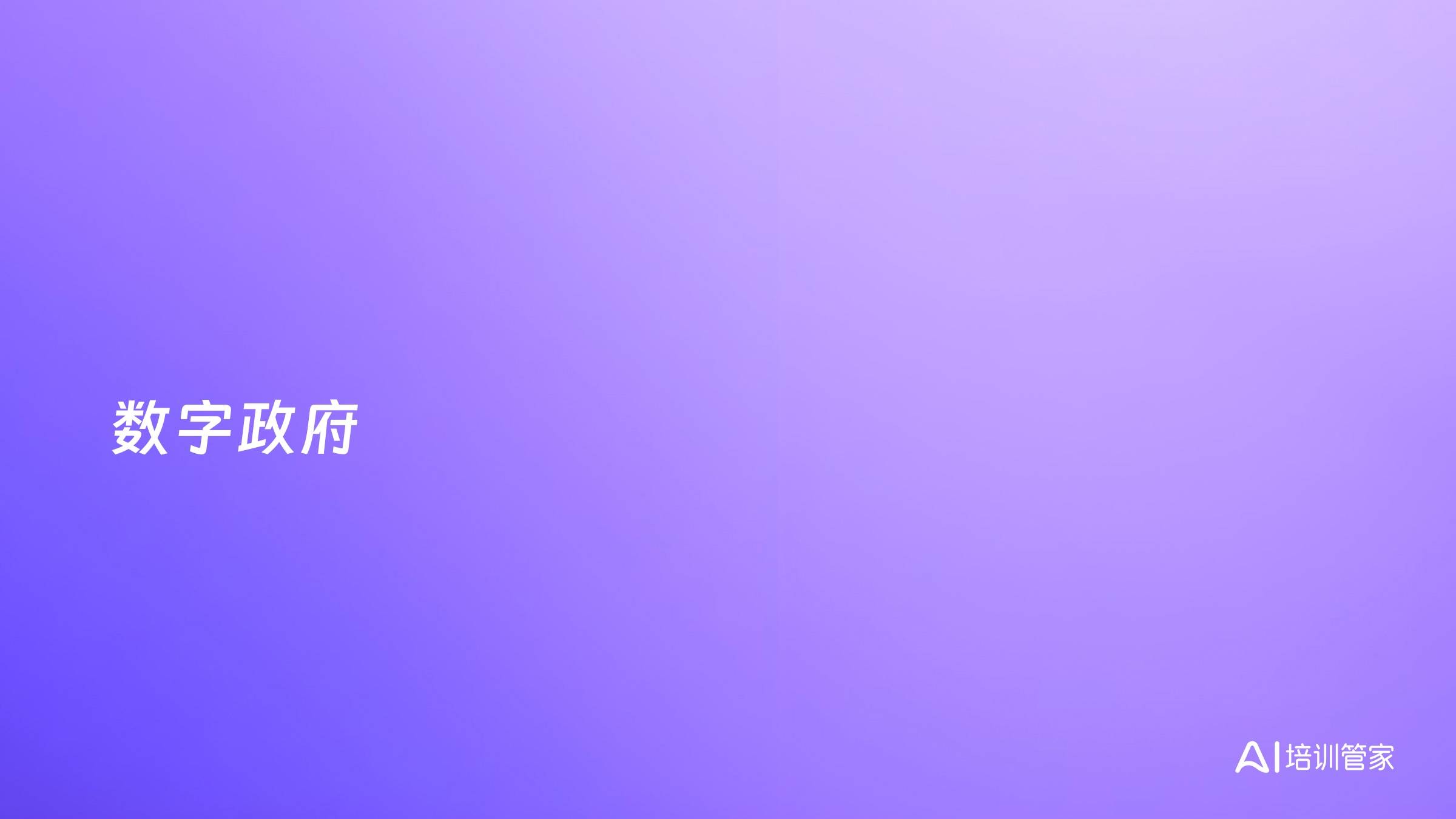数字政府