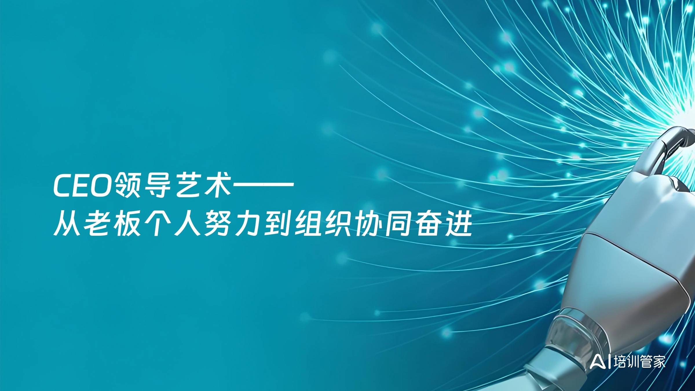 CEO领导艺术——从老板个人努力到组织协同奋进