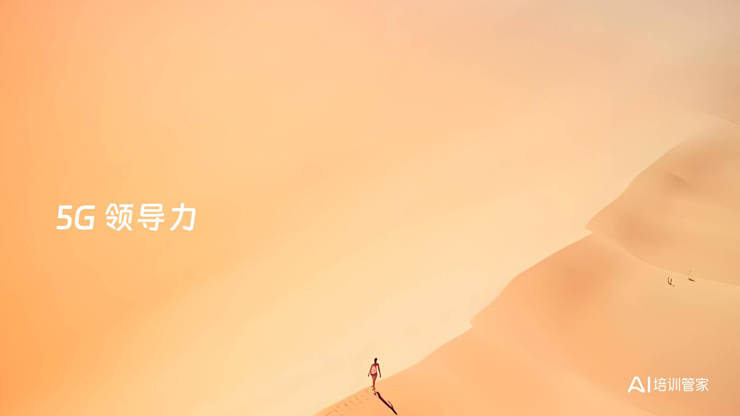 5G 领导力