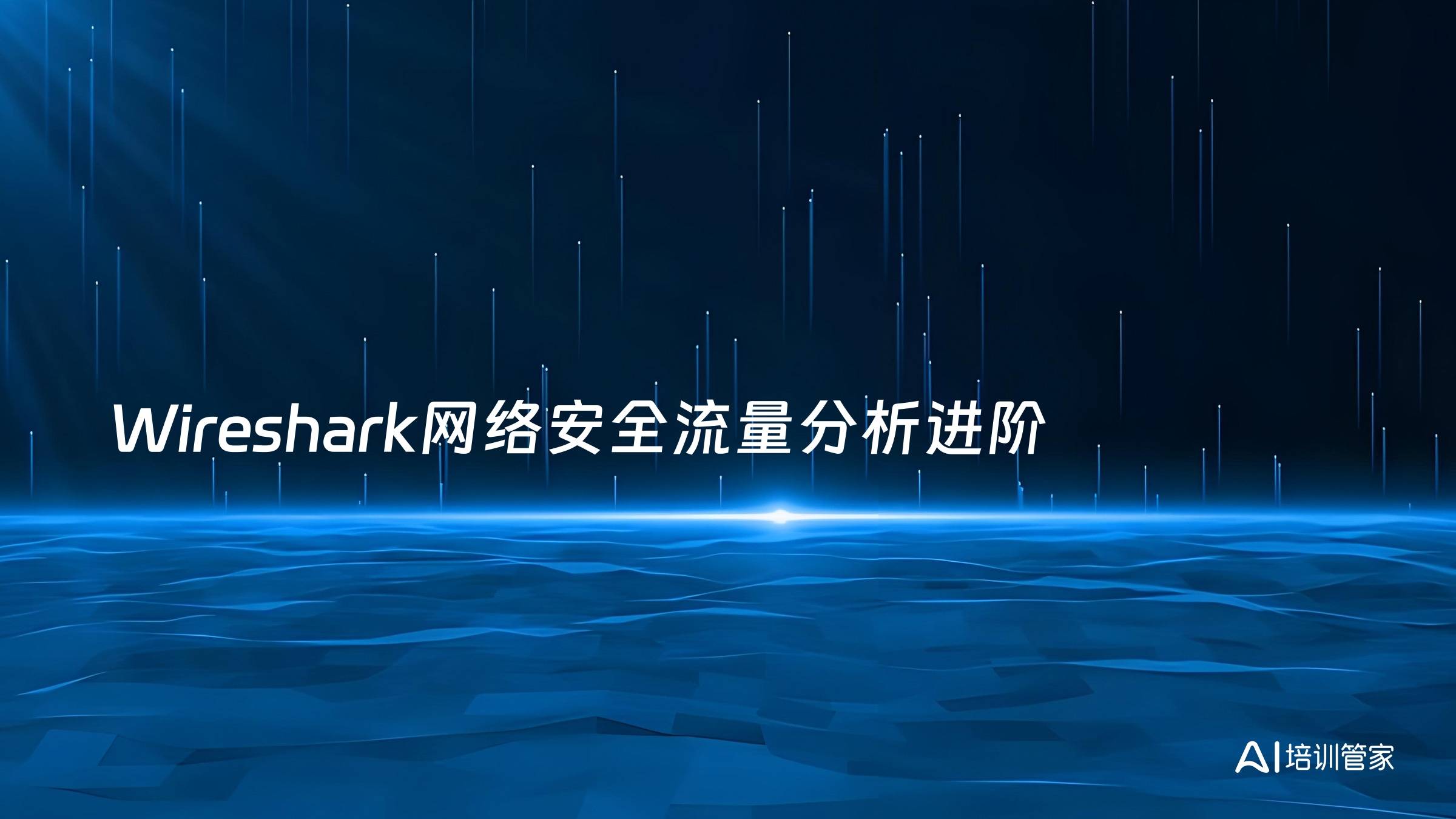 Wireshark网络安全流量分析进阶