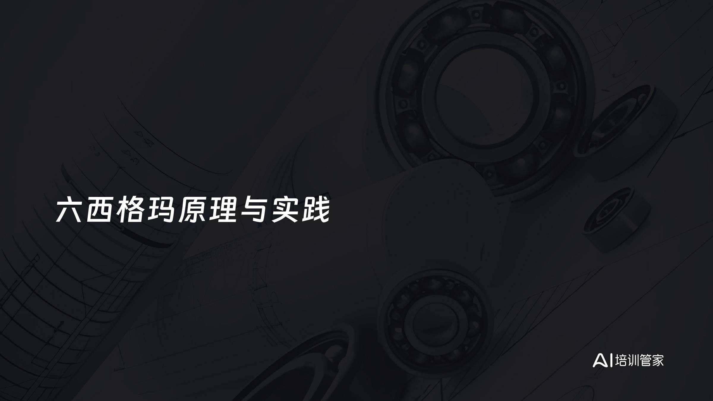 六西格玛原理与实践