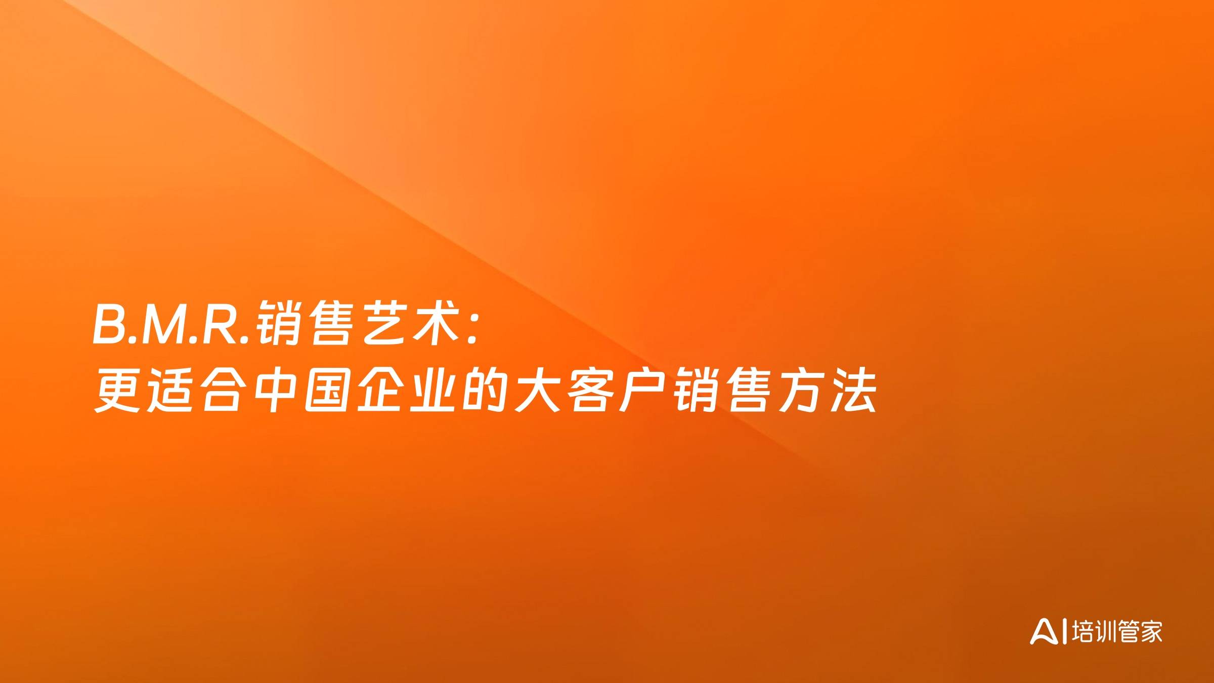 B.M.R.销售艺术：更适合中国企业的大客户销售方法