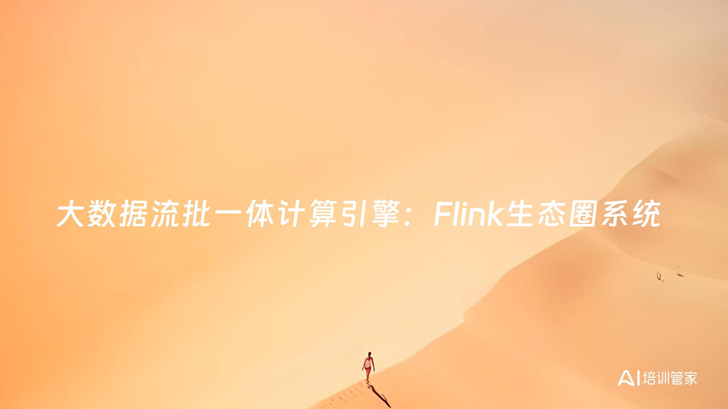 大数据流批一体计算引擎：Flink生态圈系统