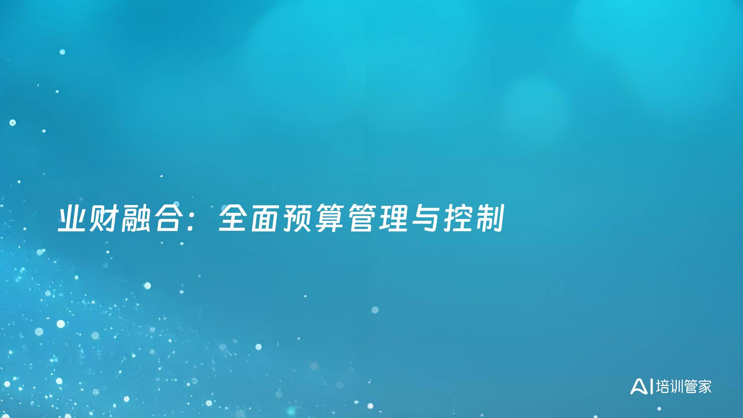 业财融合：全面预算管理与控制