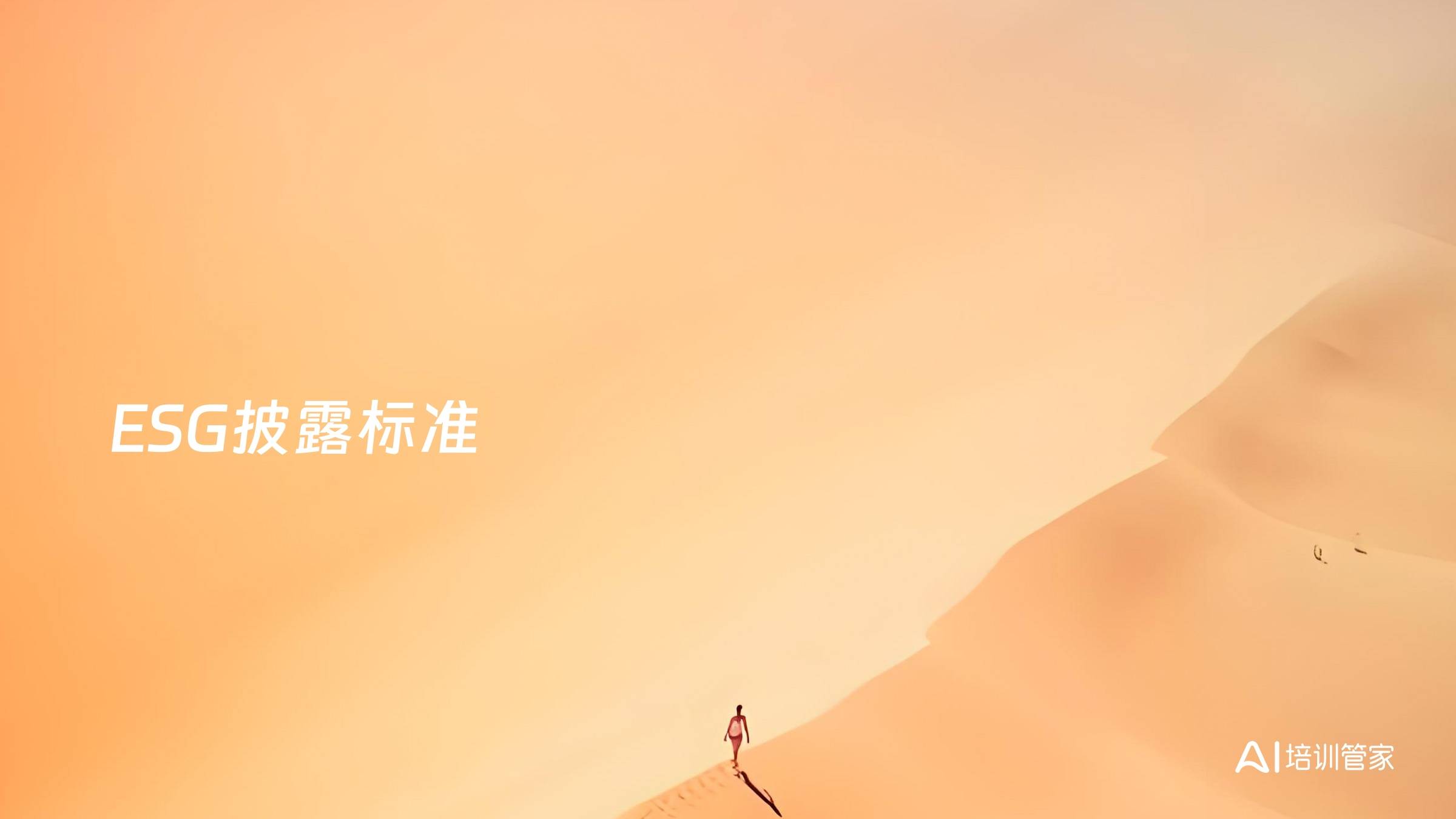 ESG披露标准