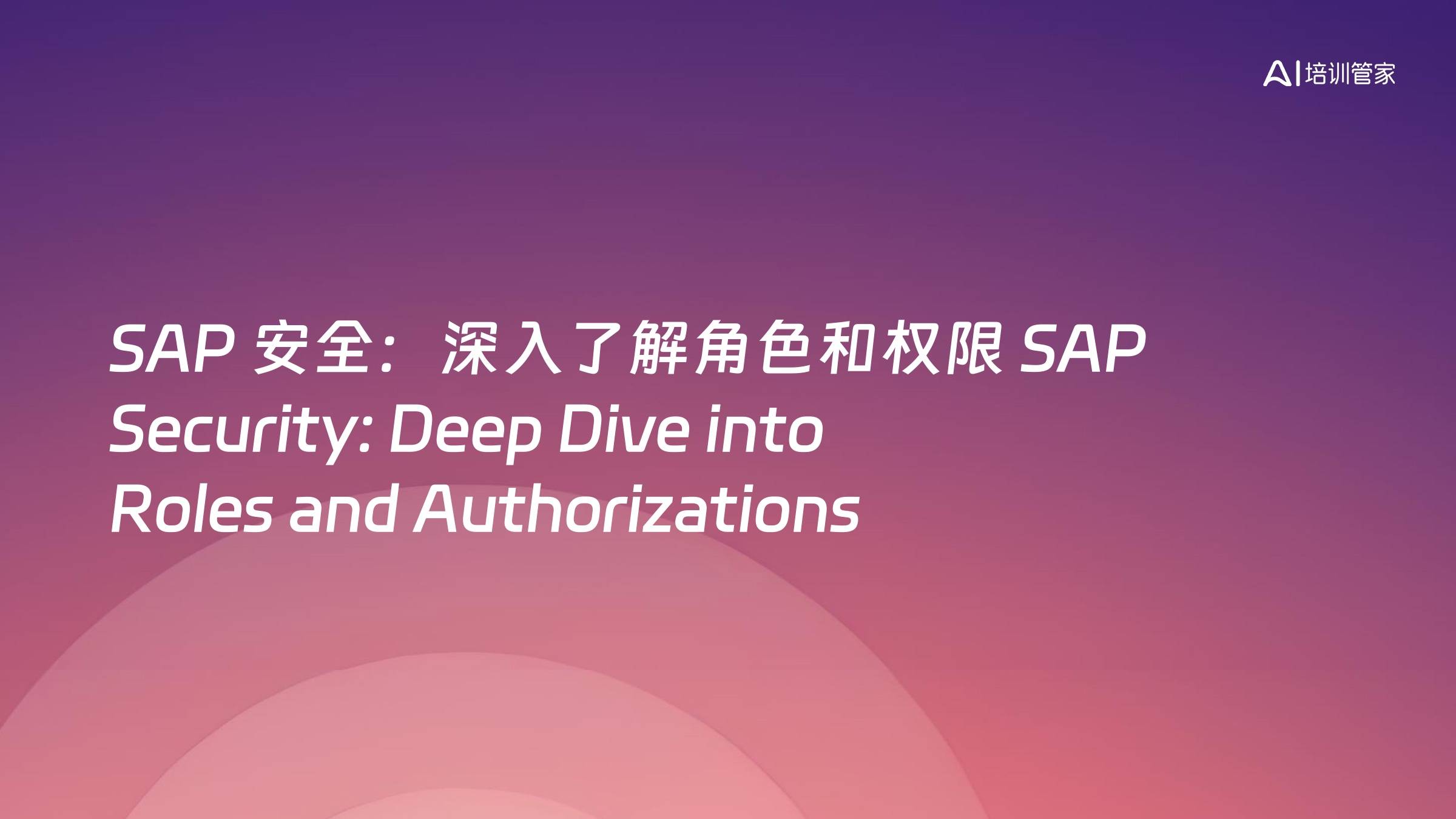 SAP 安全：深入了解角色和权限 SAP Security: Deep Dive into Roles and Authorizations