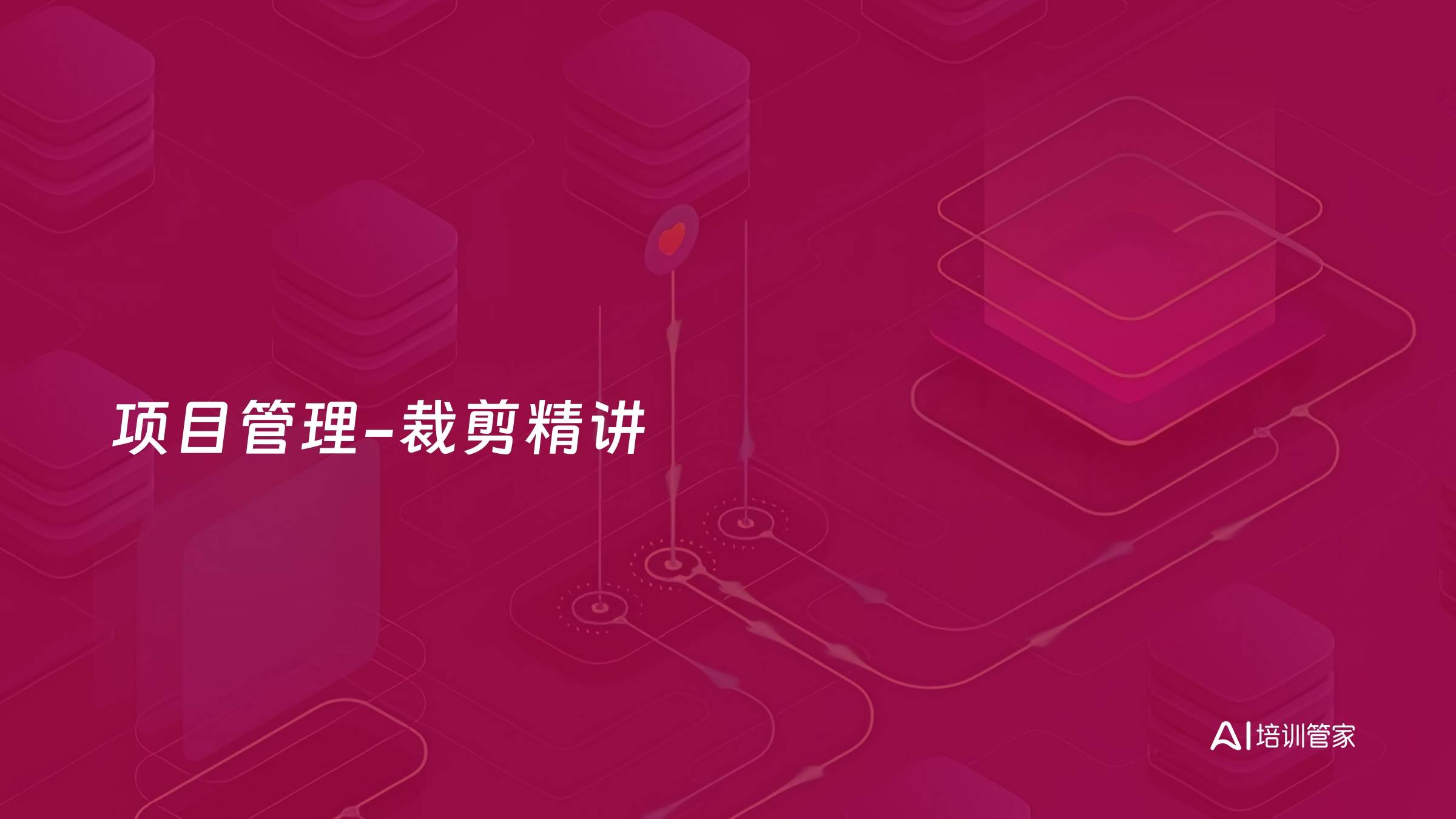 项目管理-裁剪精讲
