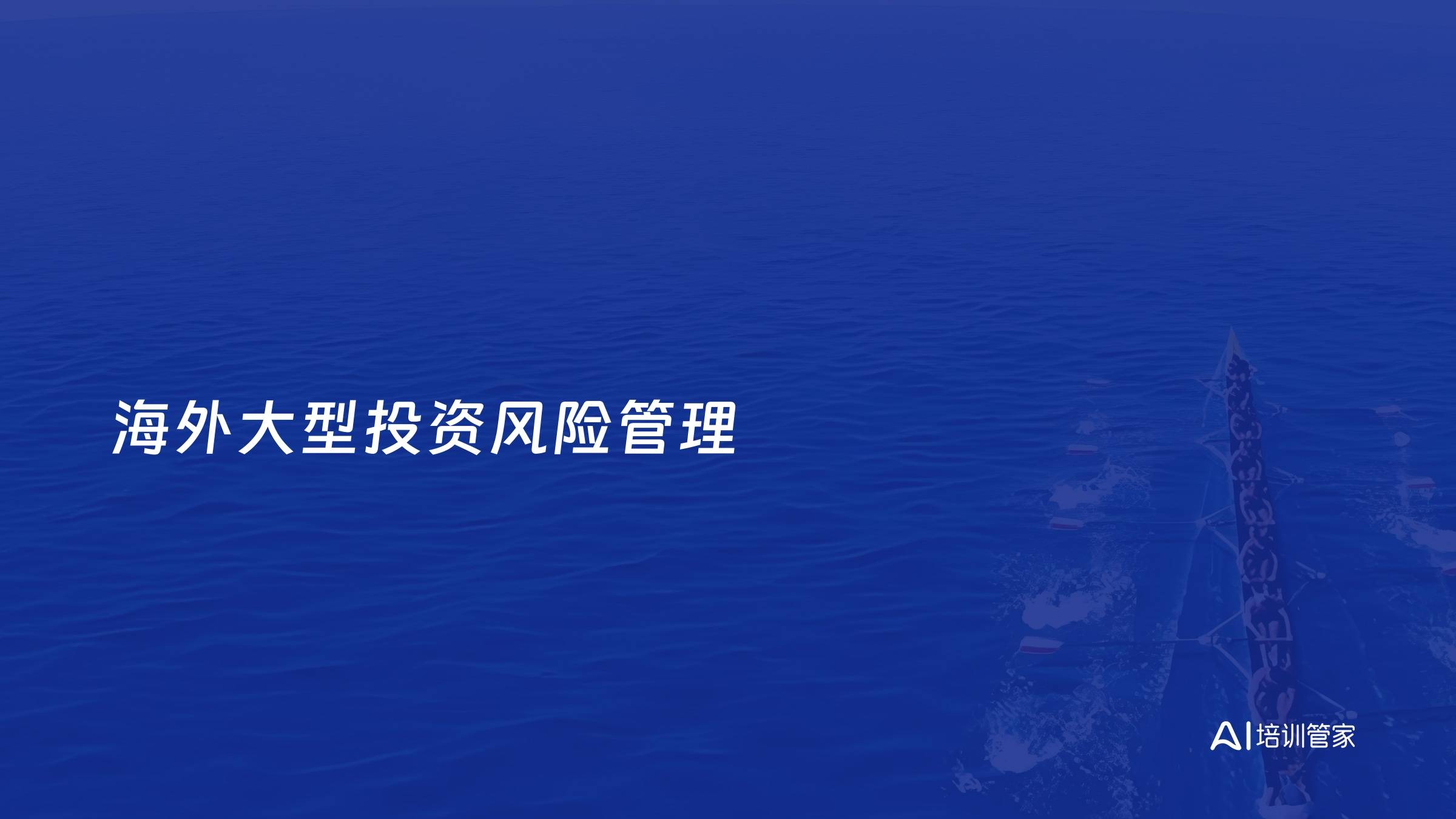 海外大型投资风险管理