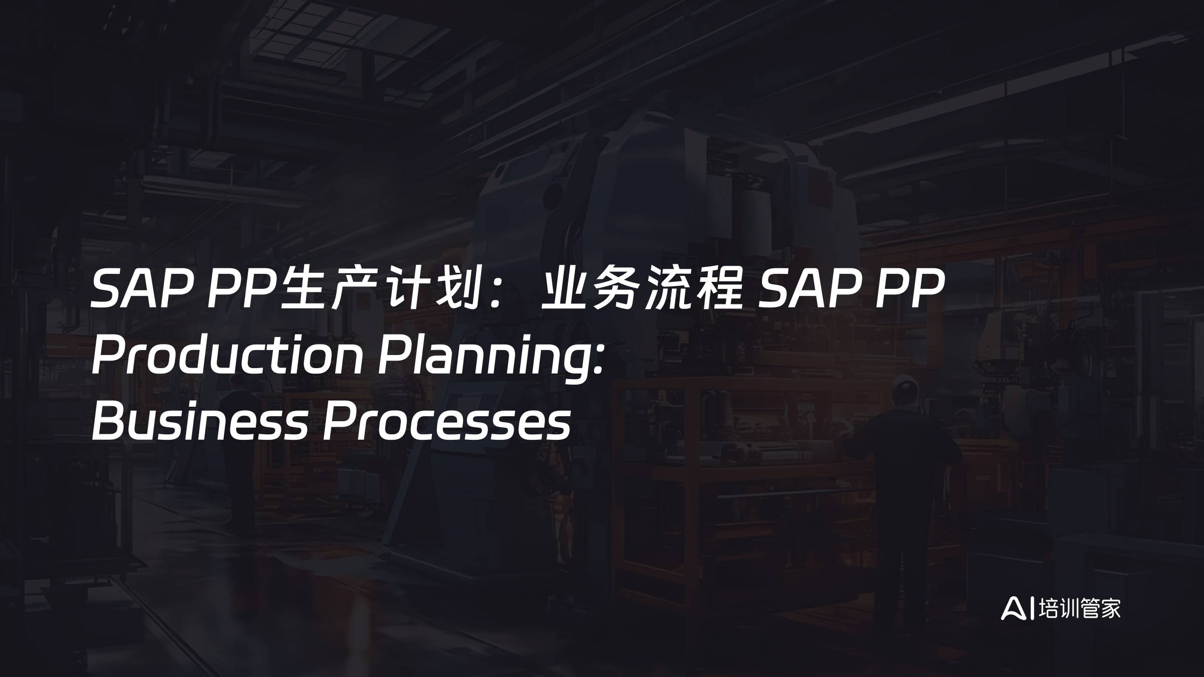 SAP PP生产计划：业务流程 SAP PP Production Planning: Business Processes