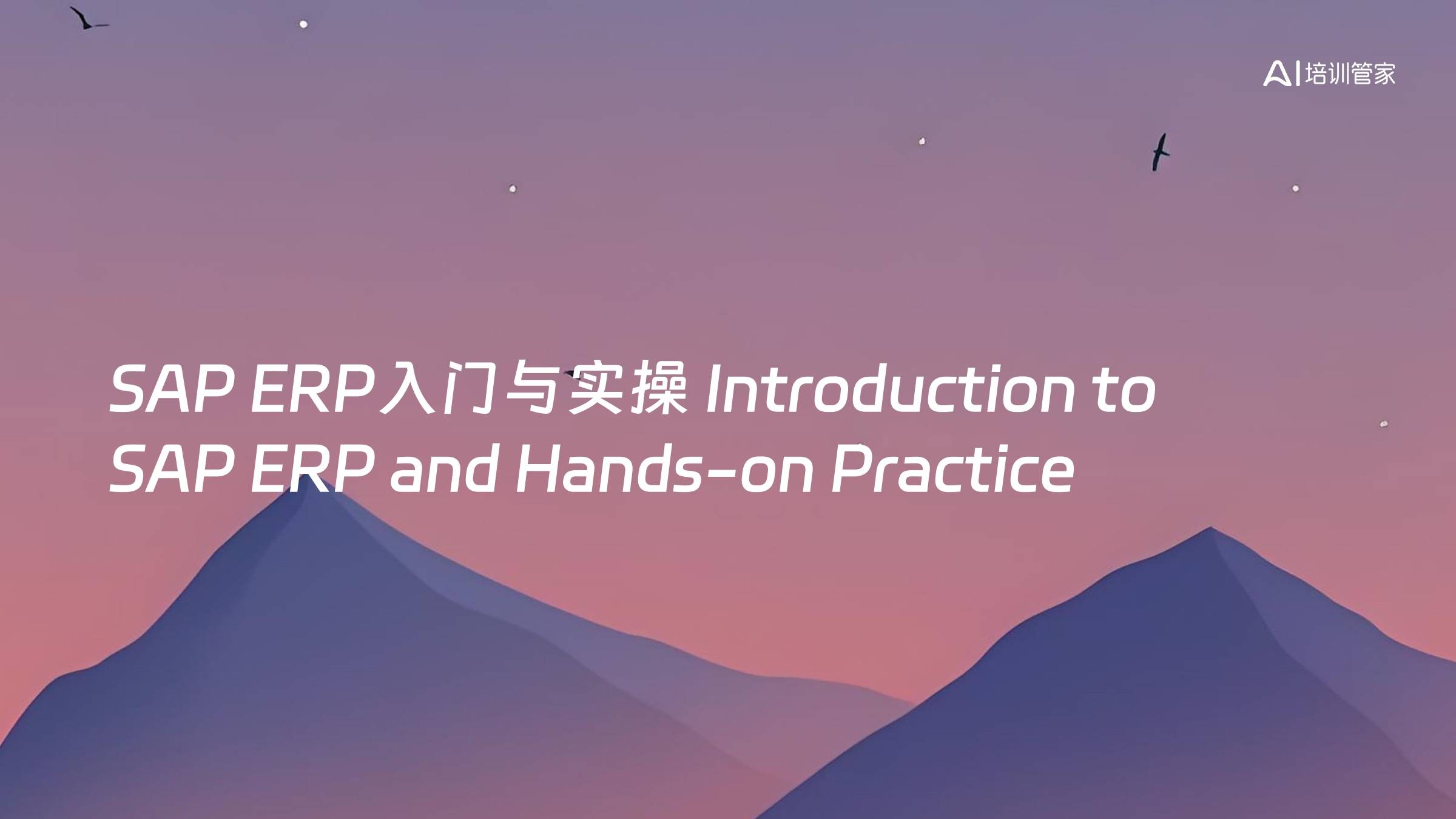 SAP ERP入门与实操 Introduction to SAP ERP and Hands-on Practice
