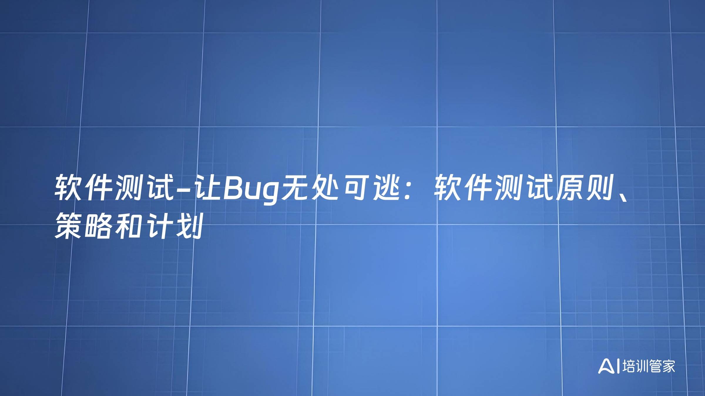 软件测试-让Bug无处可逃：软件测试原则、策略和计划
