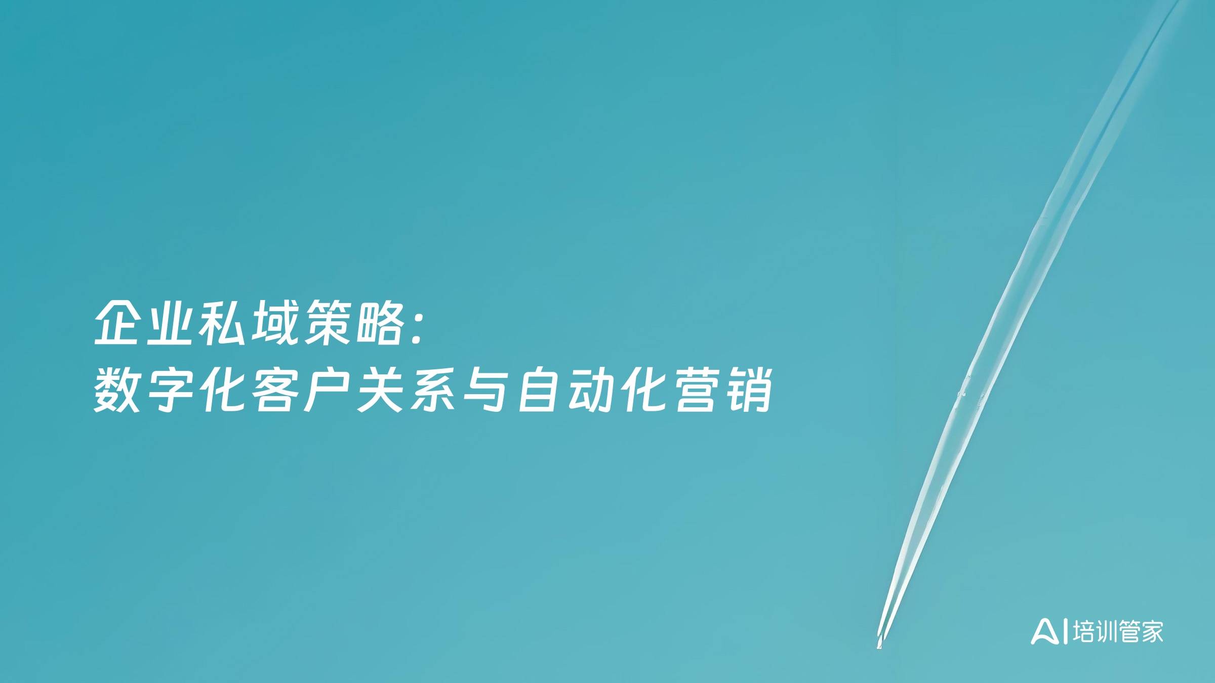 企业私域策略：数字化客户关系与自动化营销