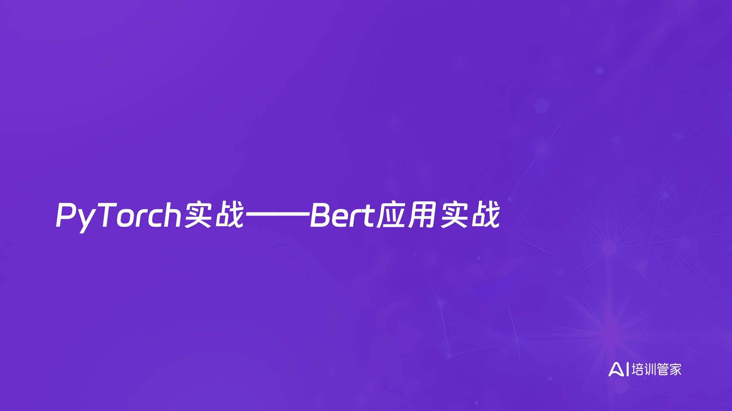 PyTorch实战——Bert应用实战