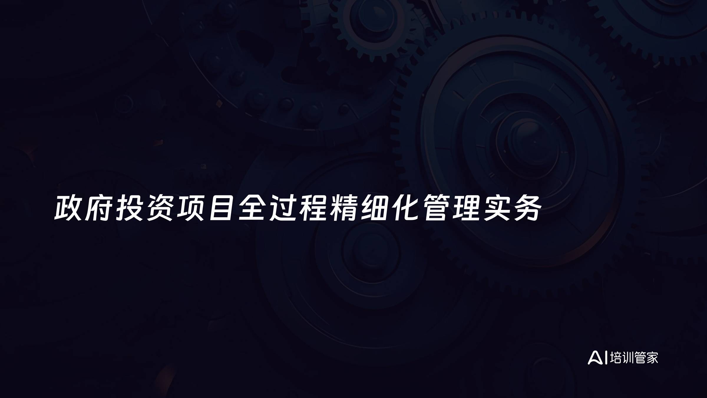 政府投资项目全过程精细化管理实务