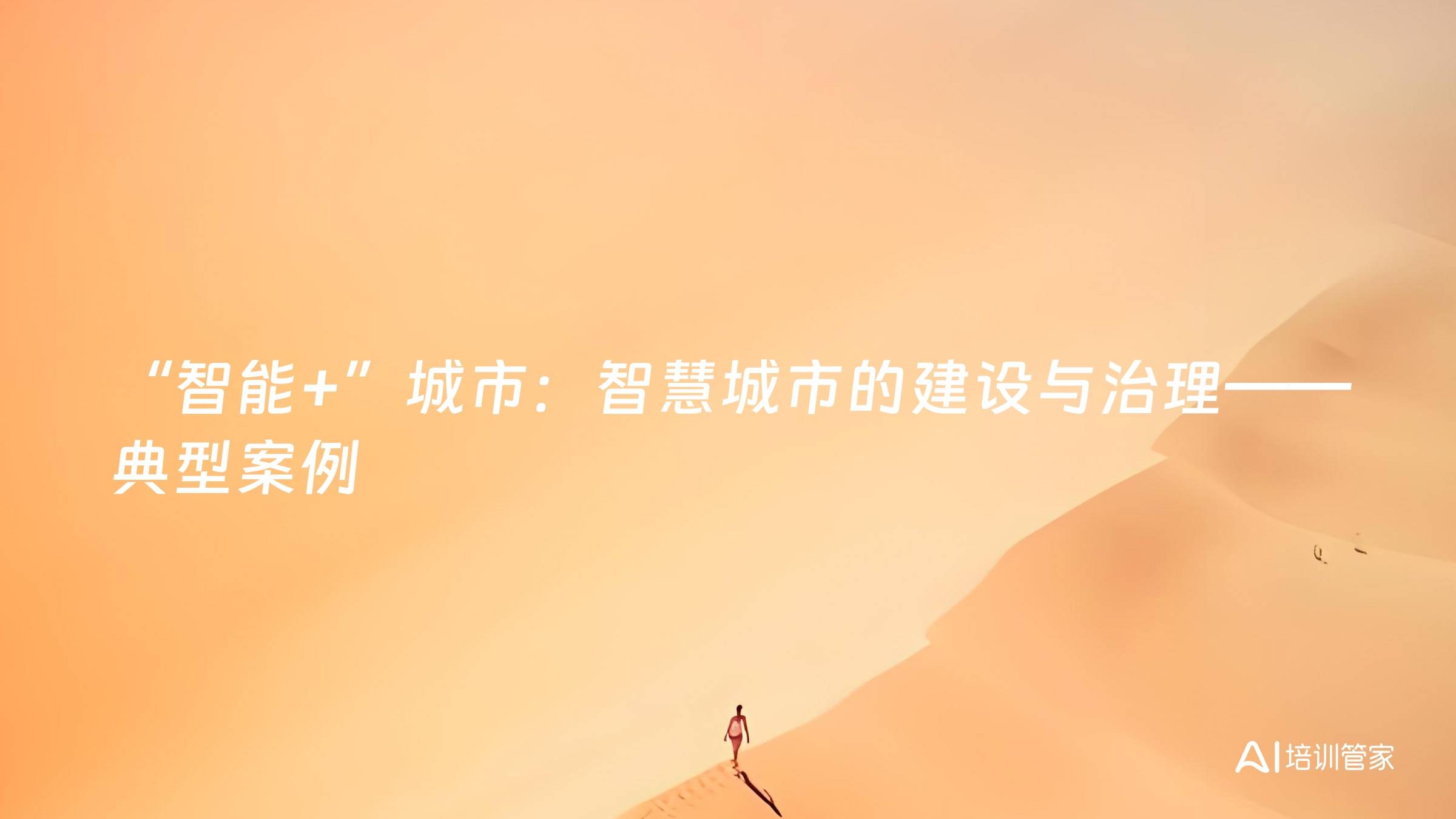 “智能+”城市：智慧城市的建设与治理——典型案例