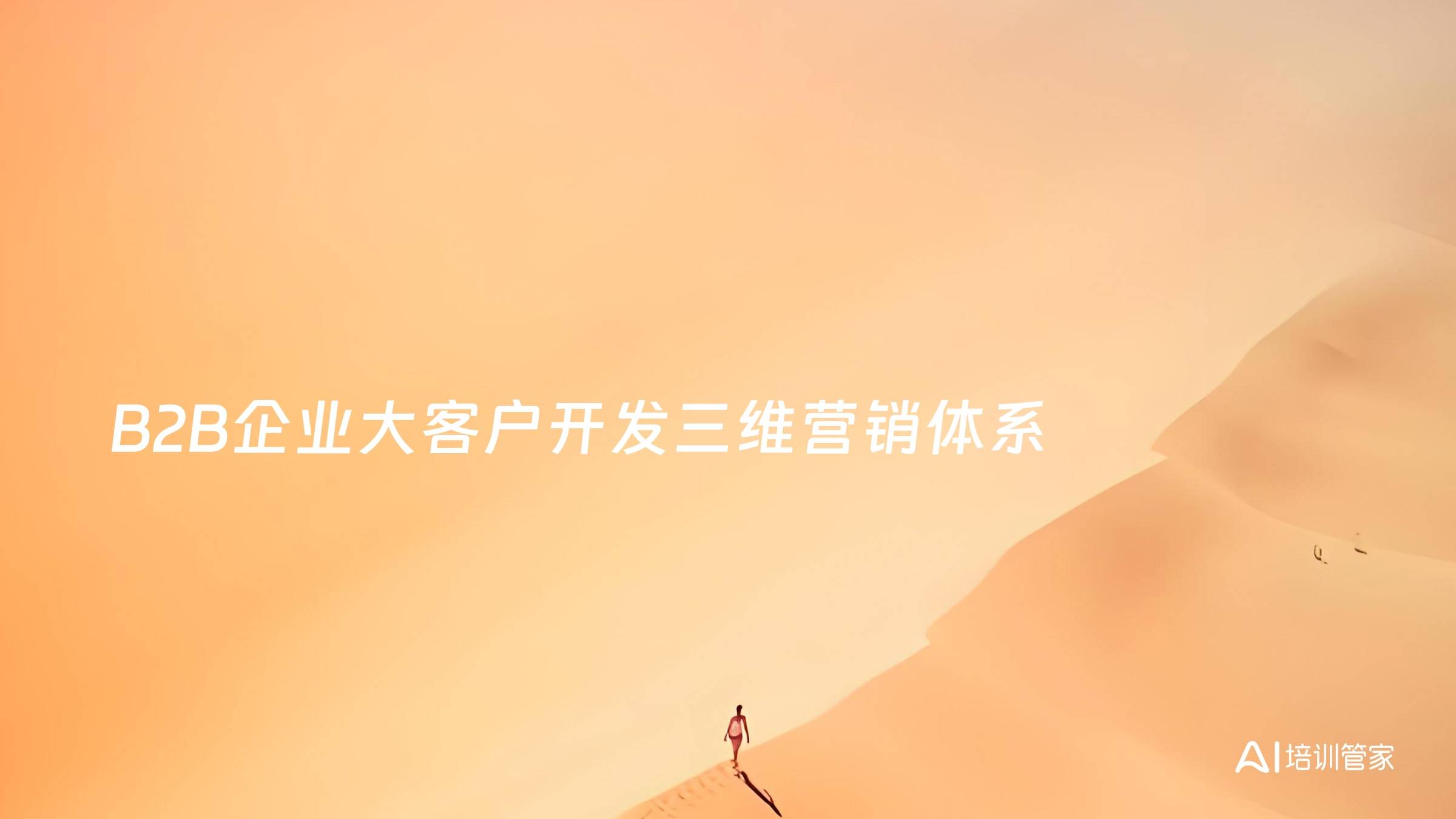 B2B企业大客户开发三维营销体系