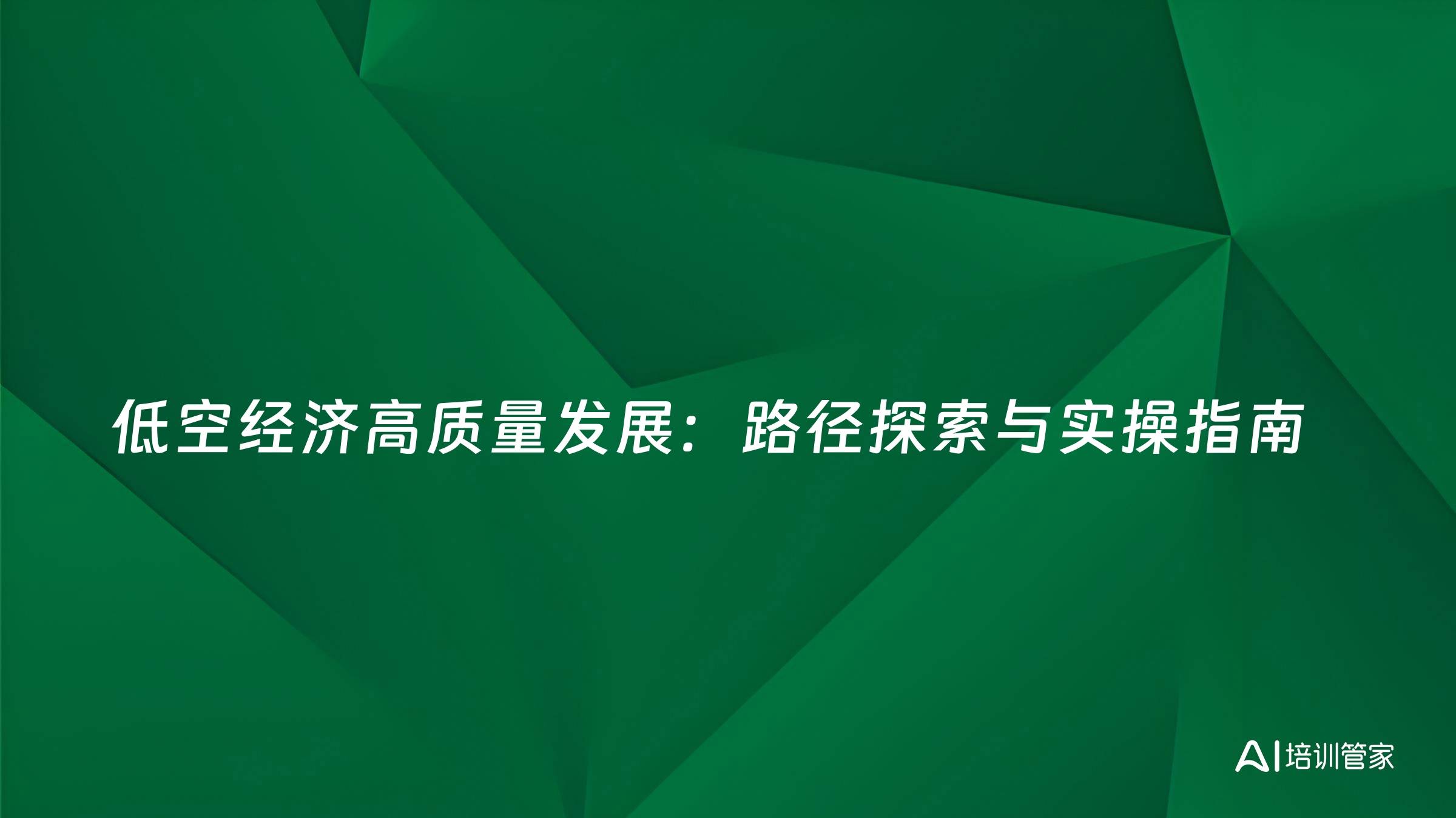 低空经济高质量发展：路径探索与实操指南
