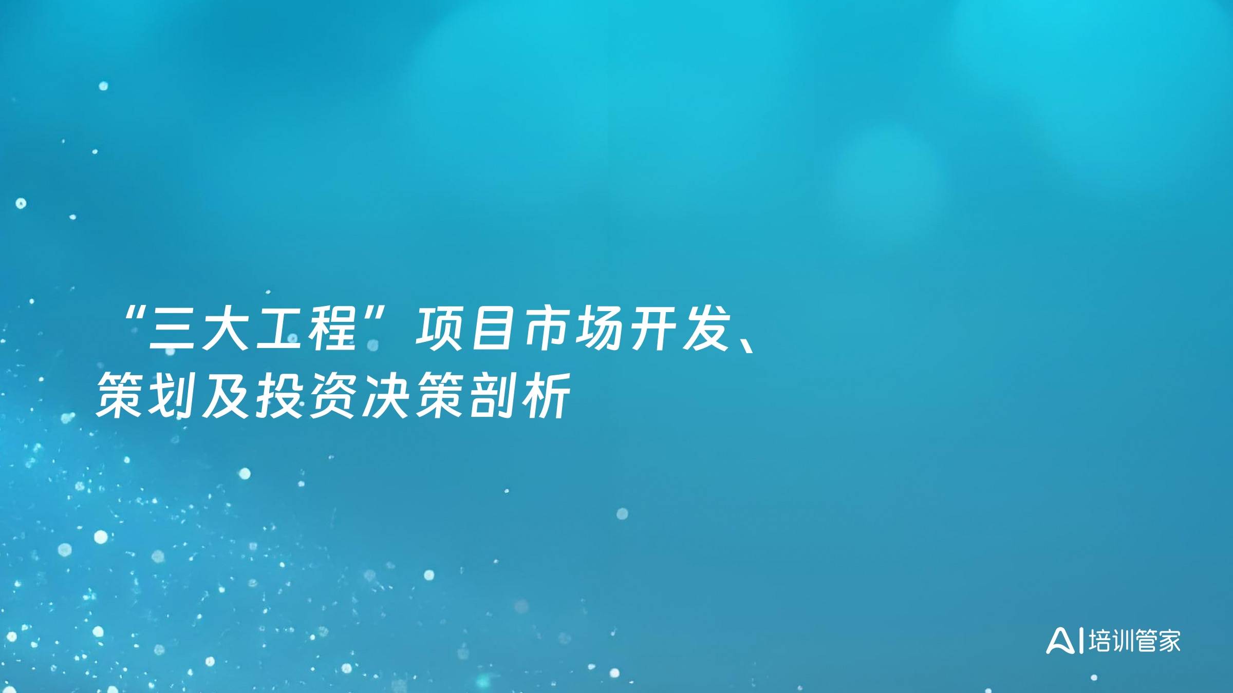 “三大工程”项目市场开发、策划及投资决策剖析