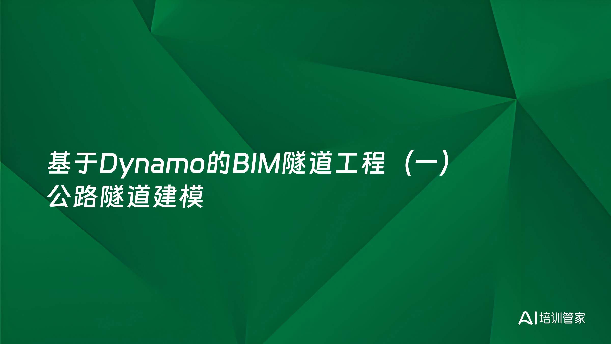 基于Dynamo的BIM隧道工程（一）公路隧道建模