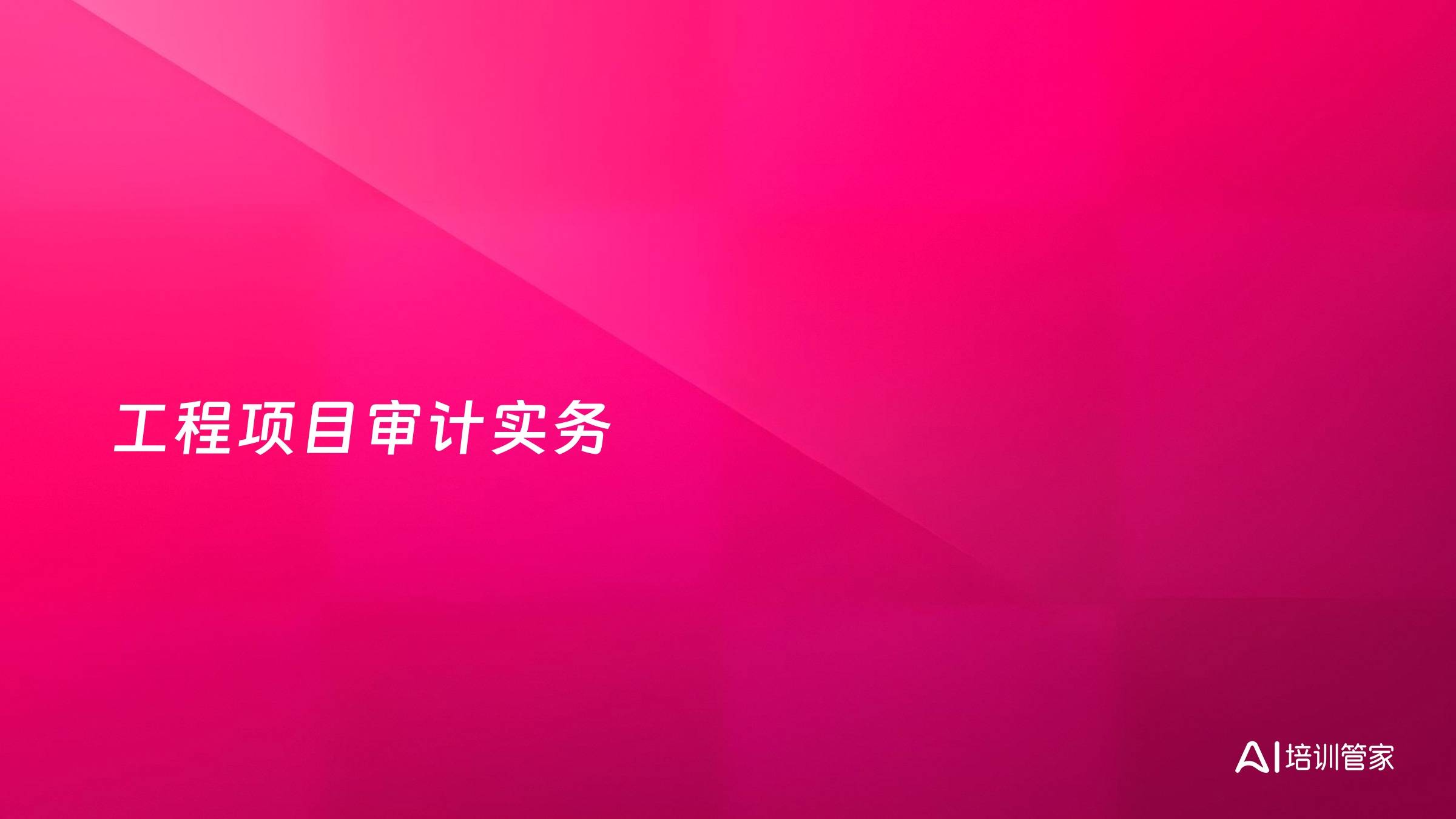 工程项目审计实务