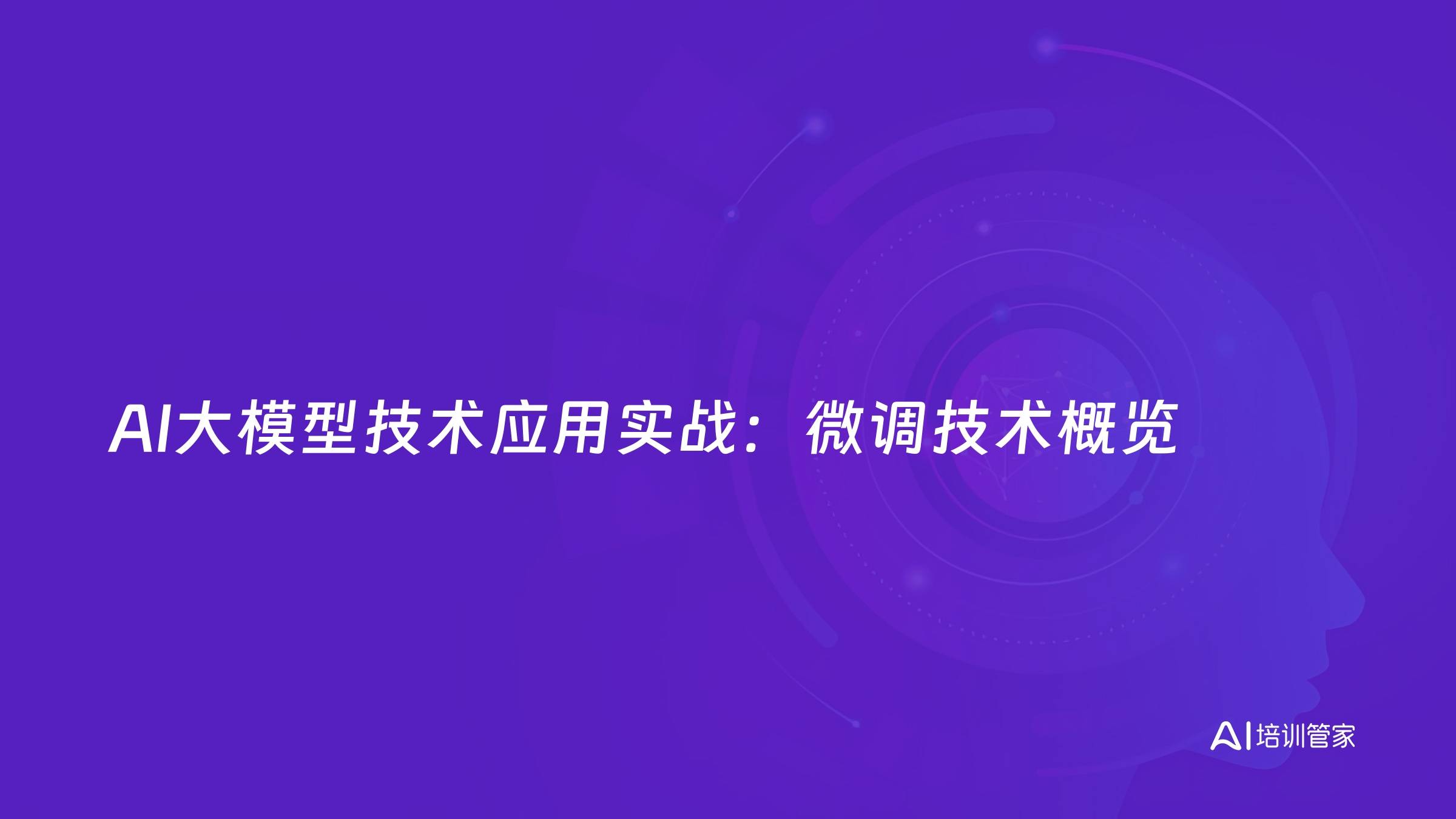 AI大模型技术应用实战：微调技术概览