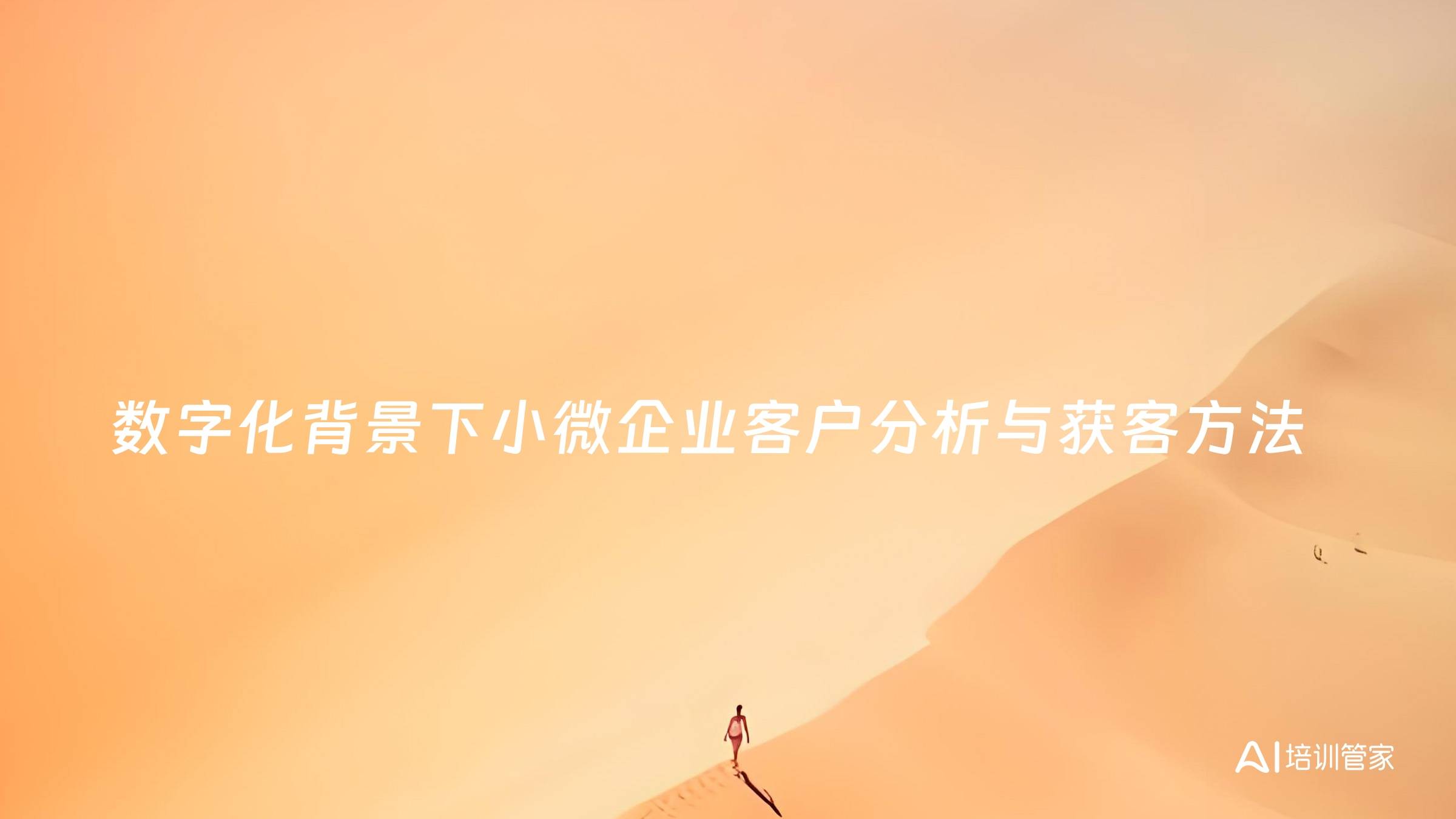 数字化背景下小微企业客户分析与获客方法