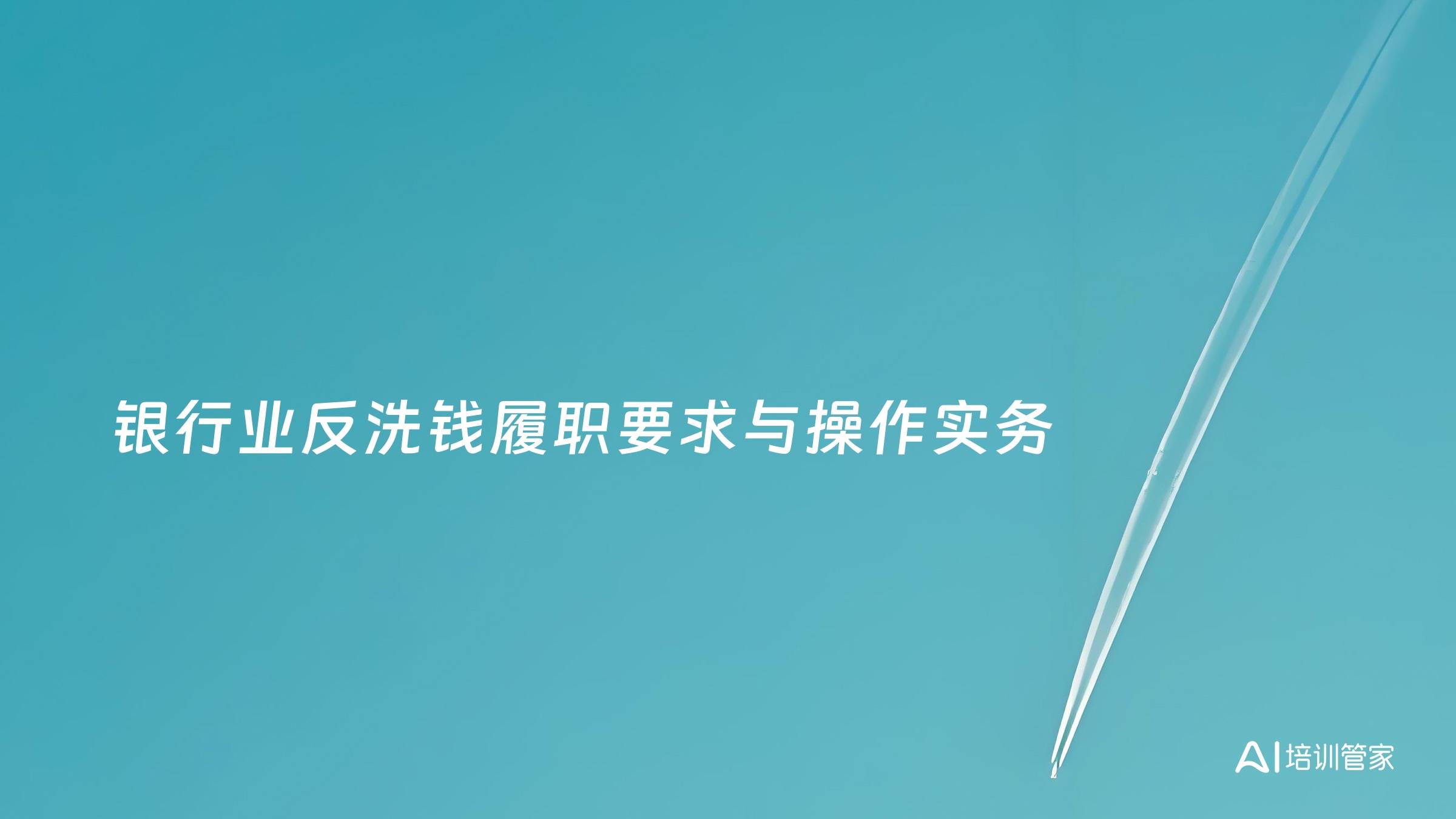 银行业反洗钱履职要求与操作实务