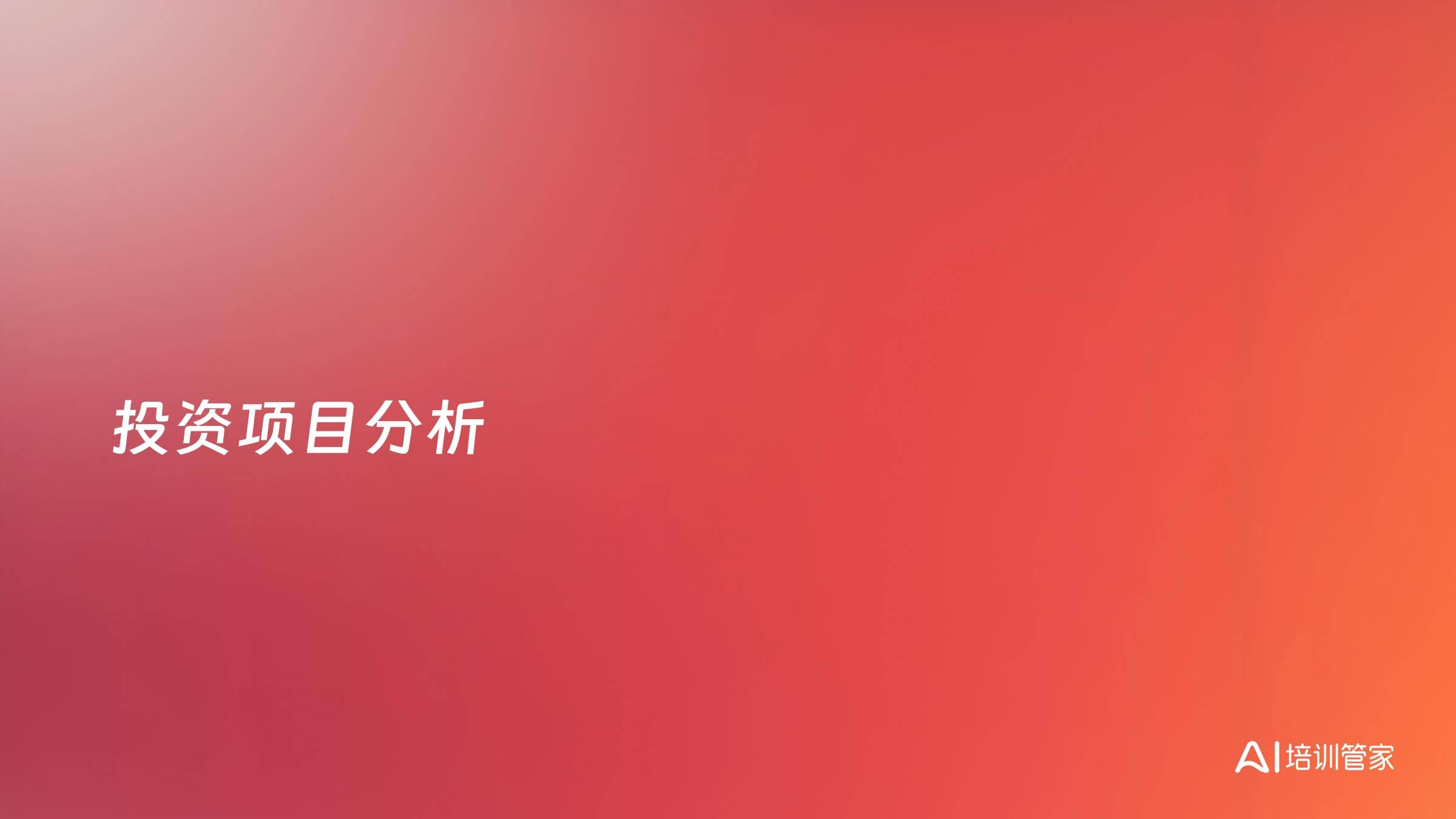 投资项目分析