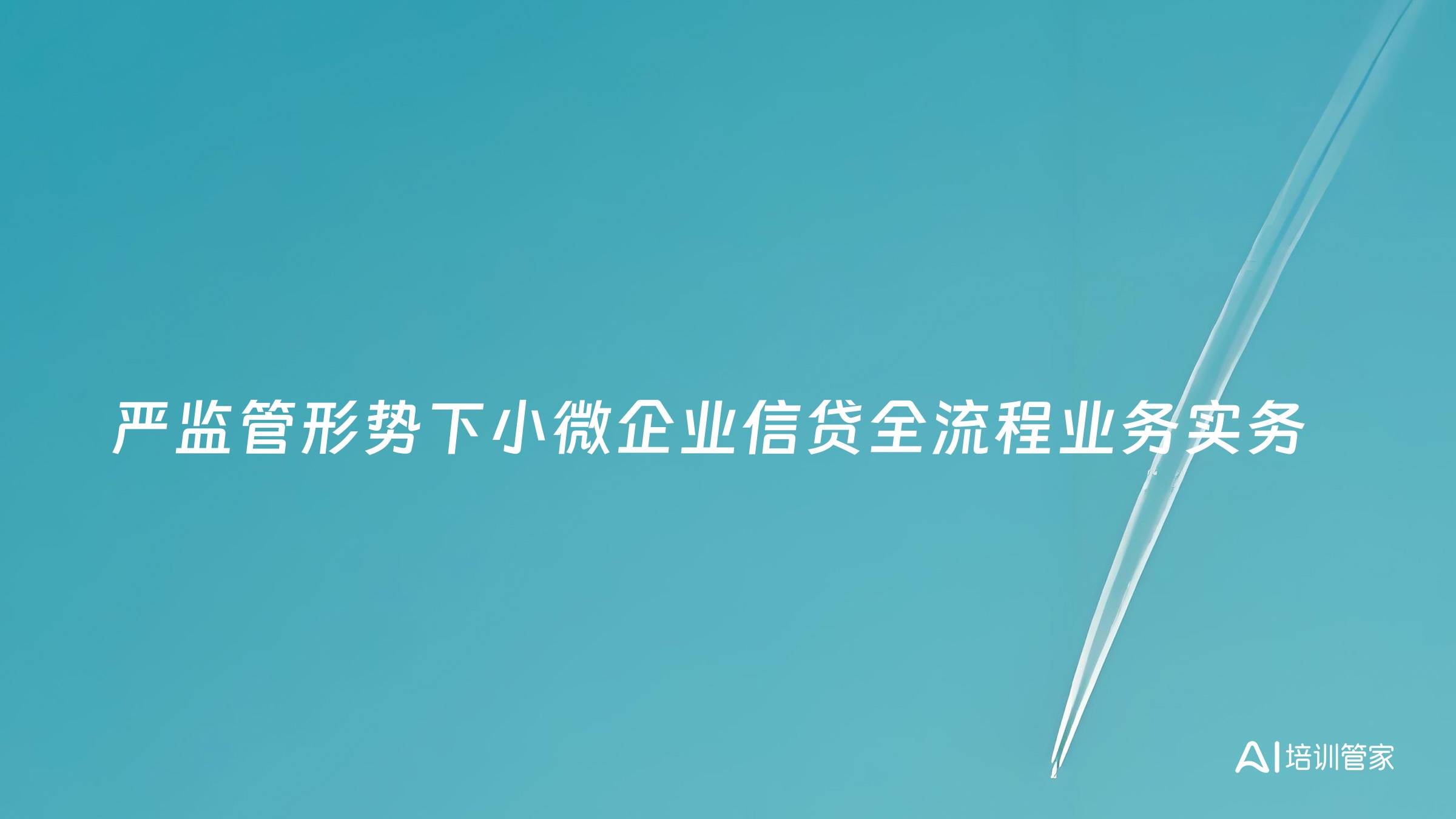 严监管形势下小微企业信贷全流程业务实务