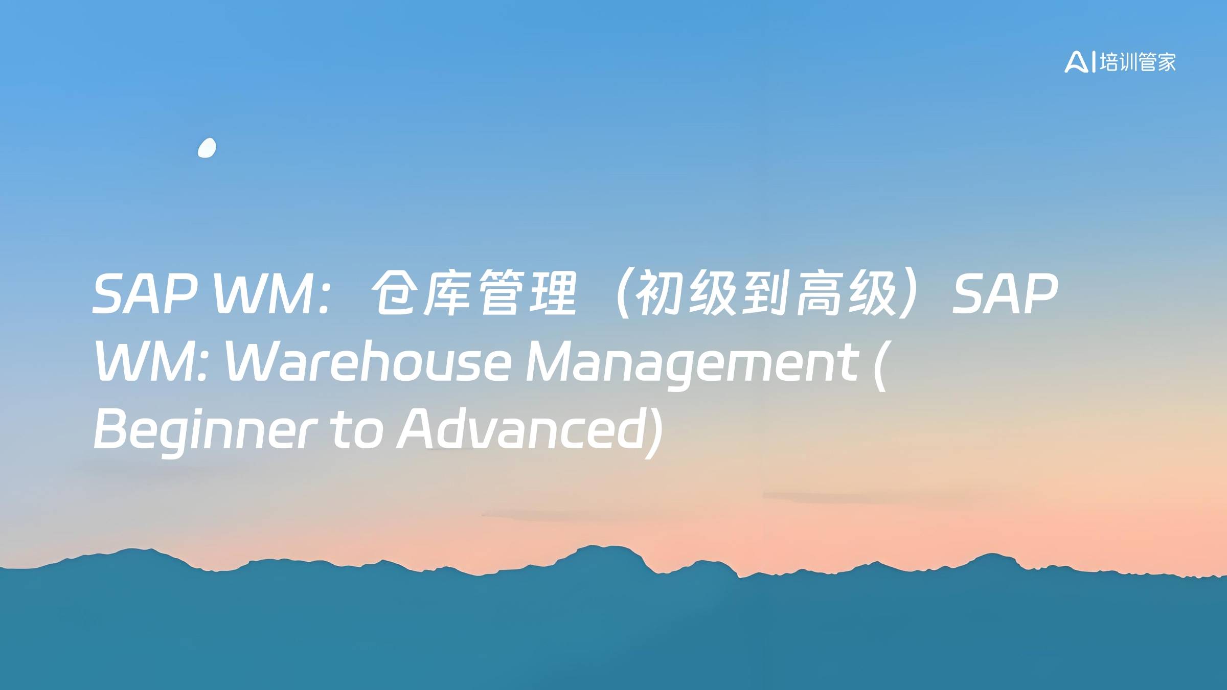SAP WM：仓库管理（初级到高级）SAP WM: Warehouse Management (Beginner to Advanced)