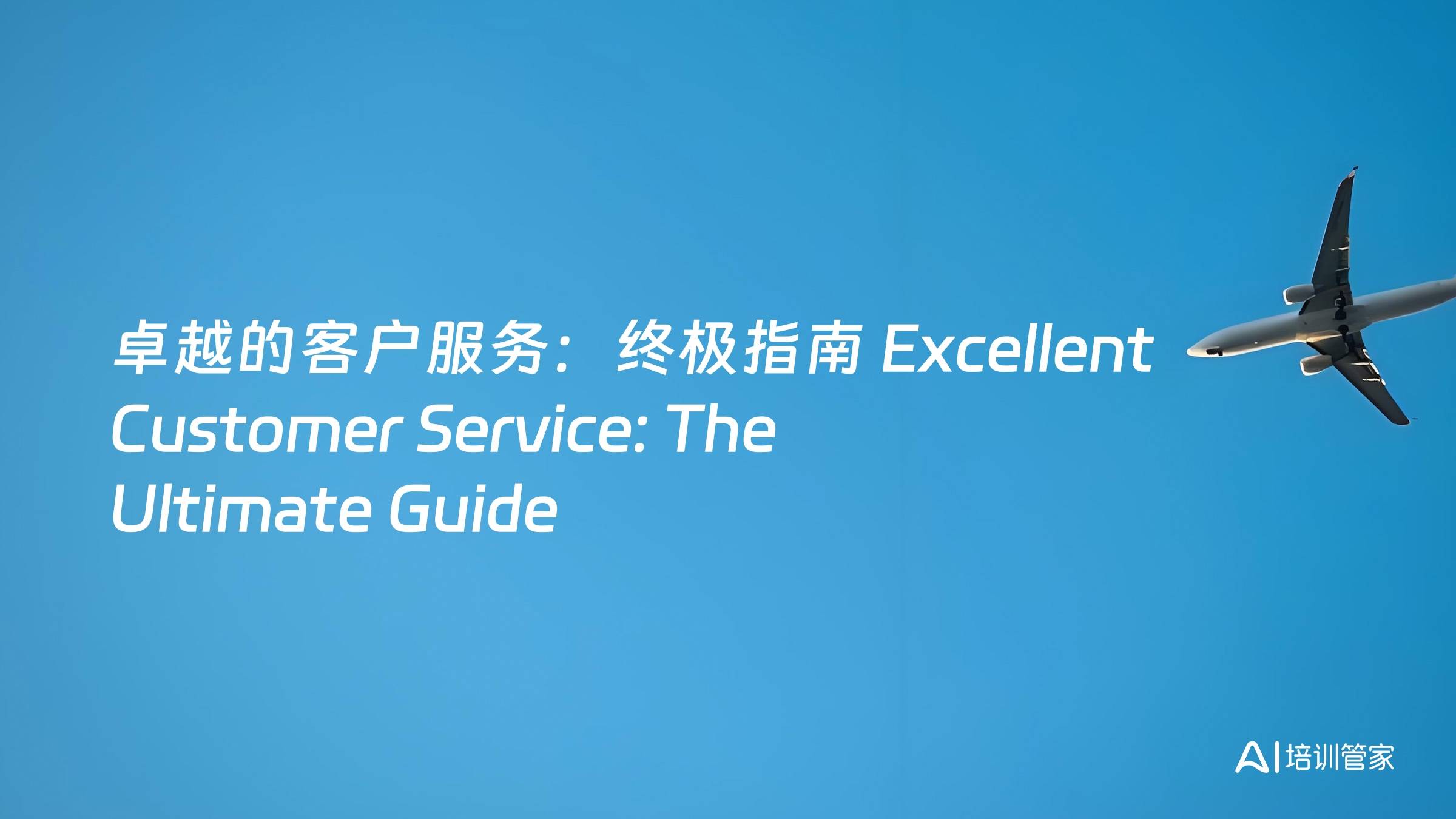 卓越的客户服务：终极指南 Excellent Customer Service: The Ultimate Guide