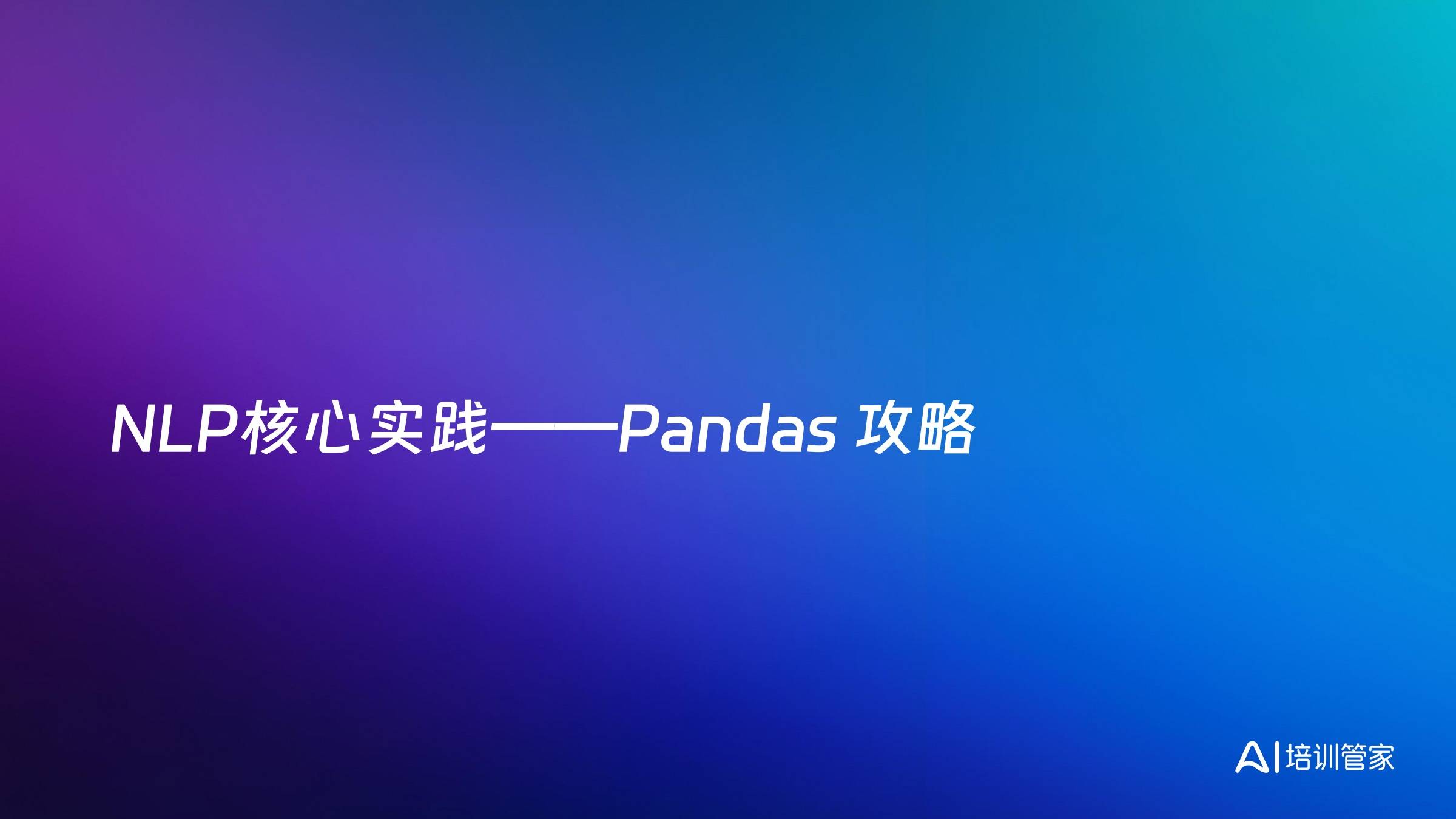 NLP核心实践——Pandas 攻略