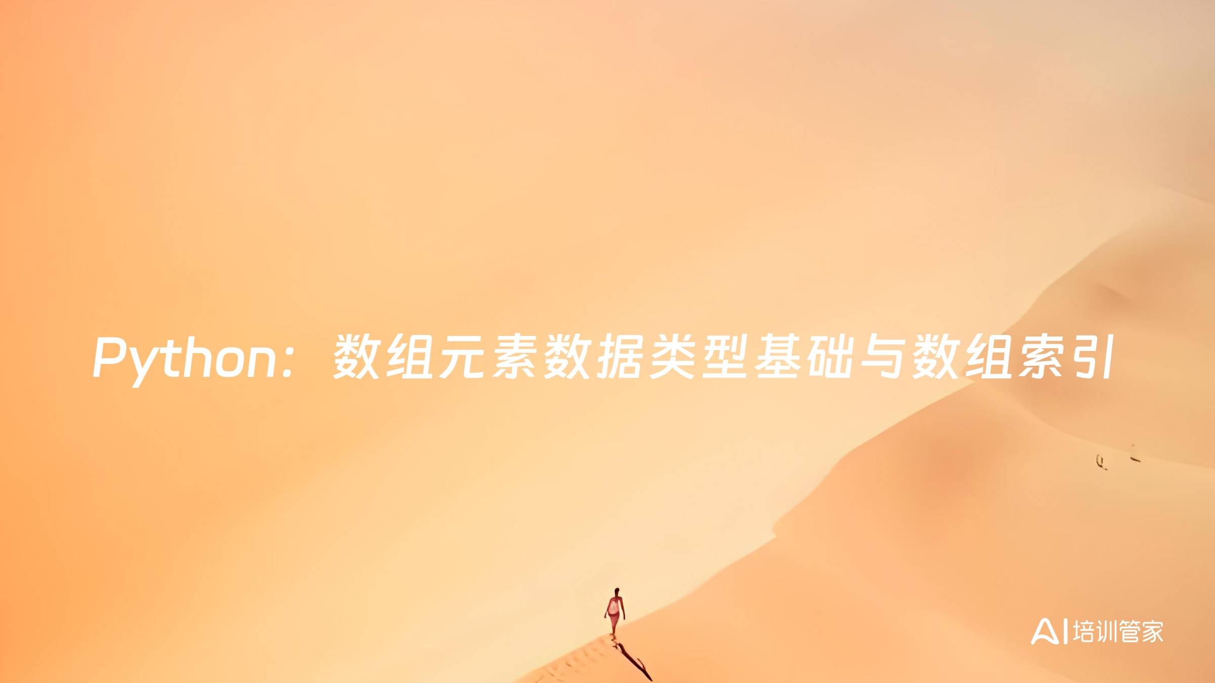 Python：数组元素数据类型基础与数组索引