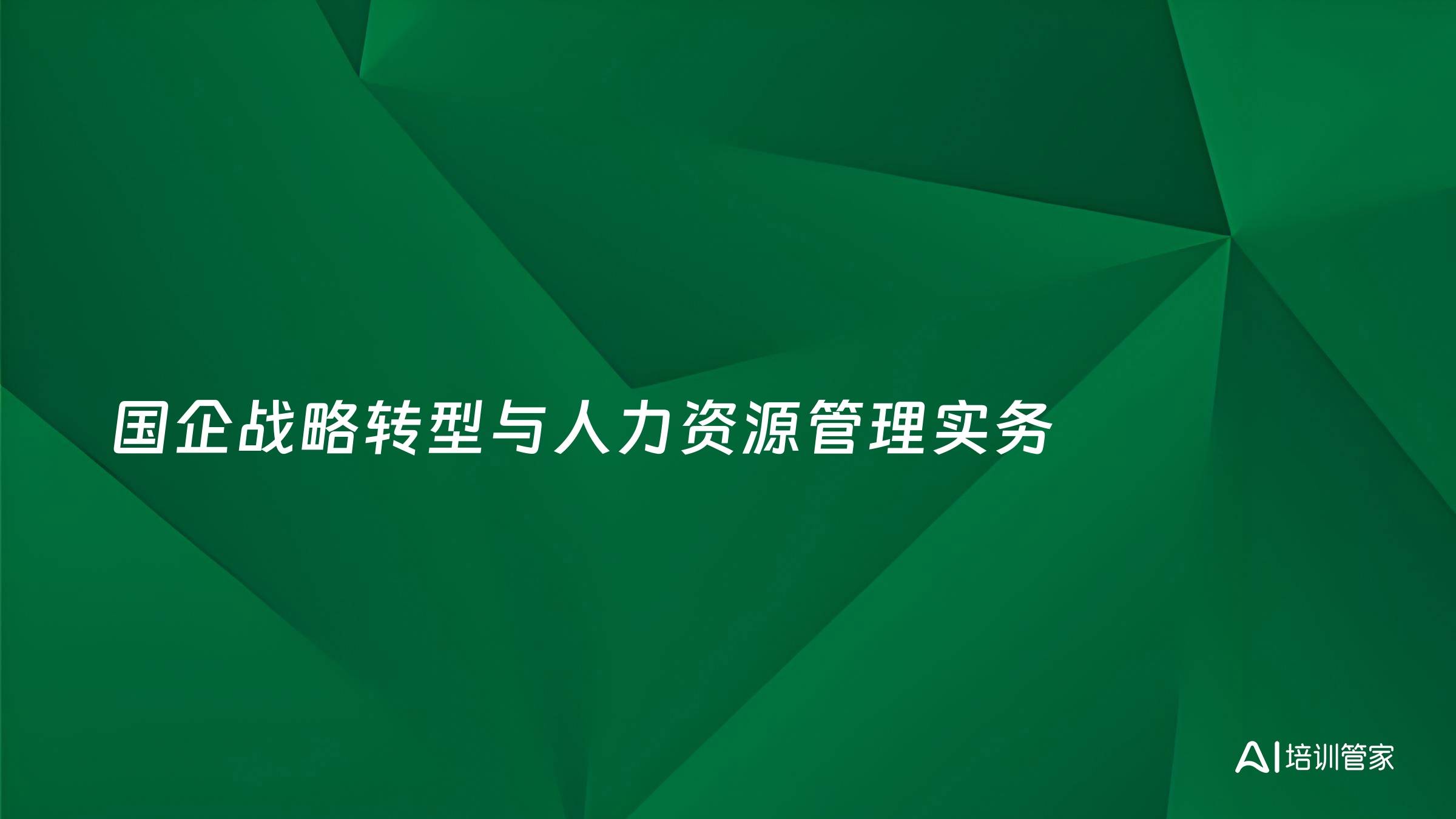 国企战略转型与人力资源管理实务