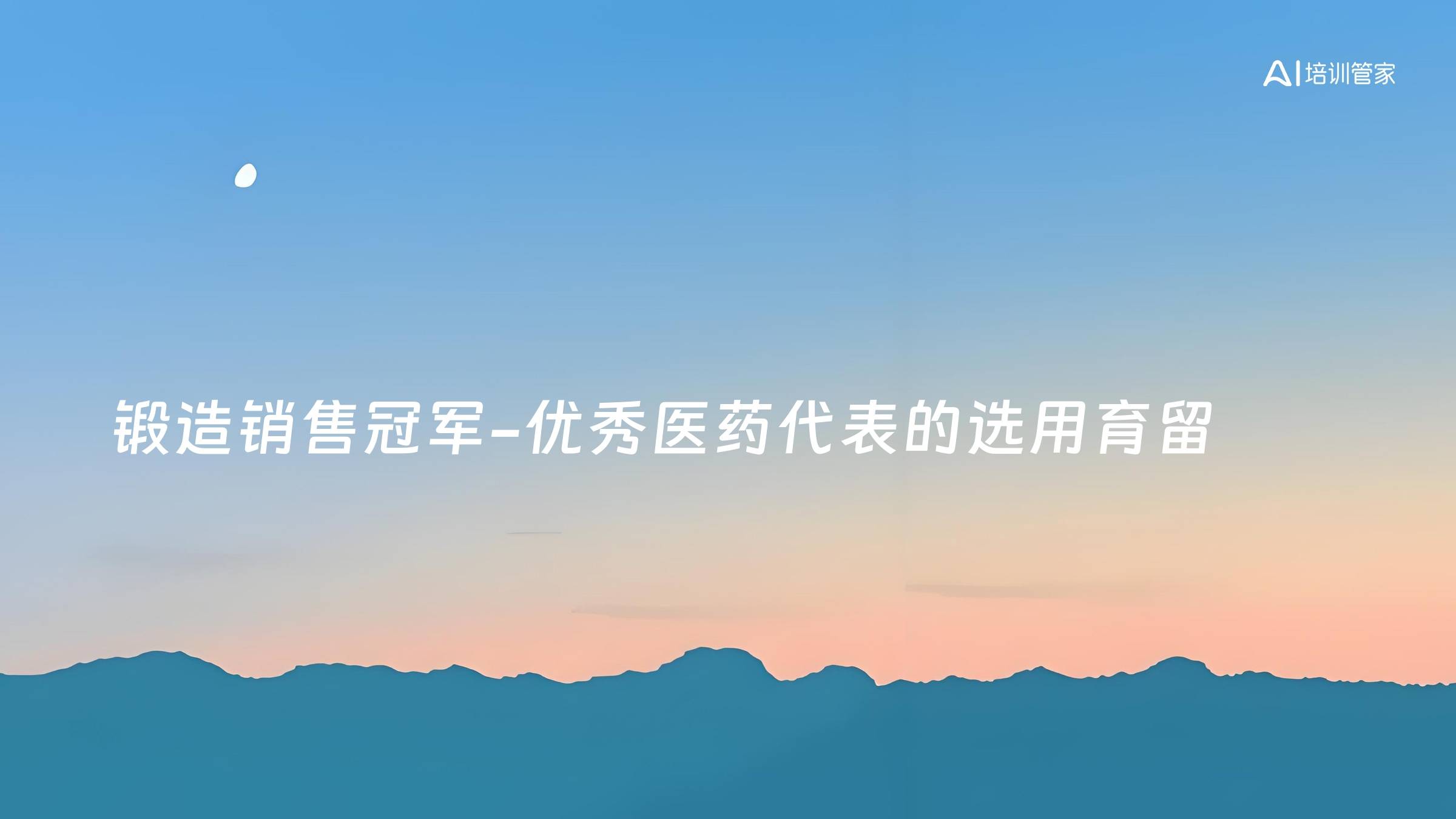 锻造销售冠军-优秀医药代表的选用育留
