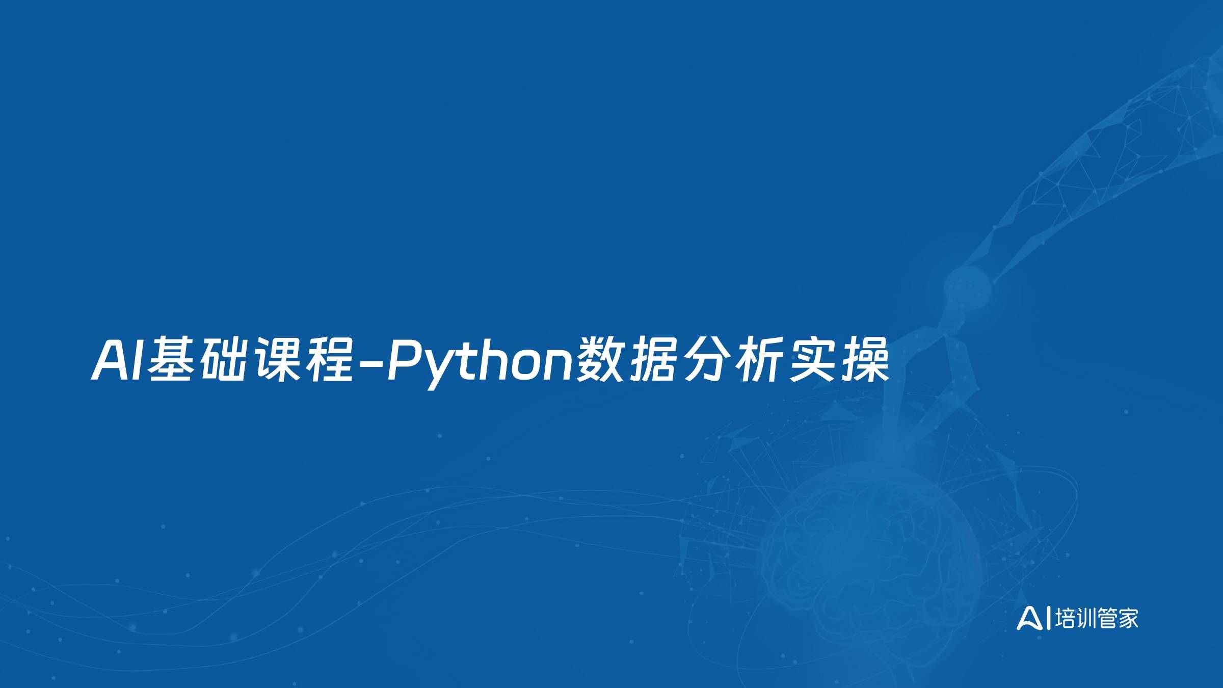 AI基础课程-Python数据分析实操