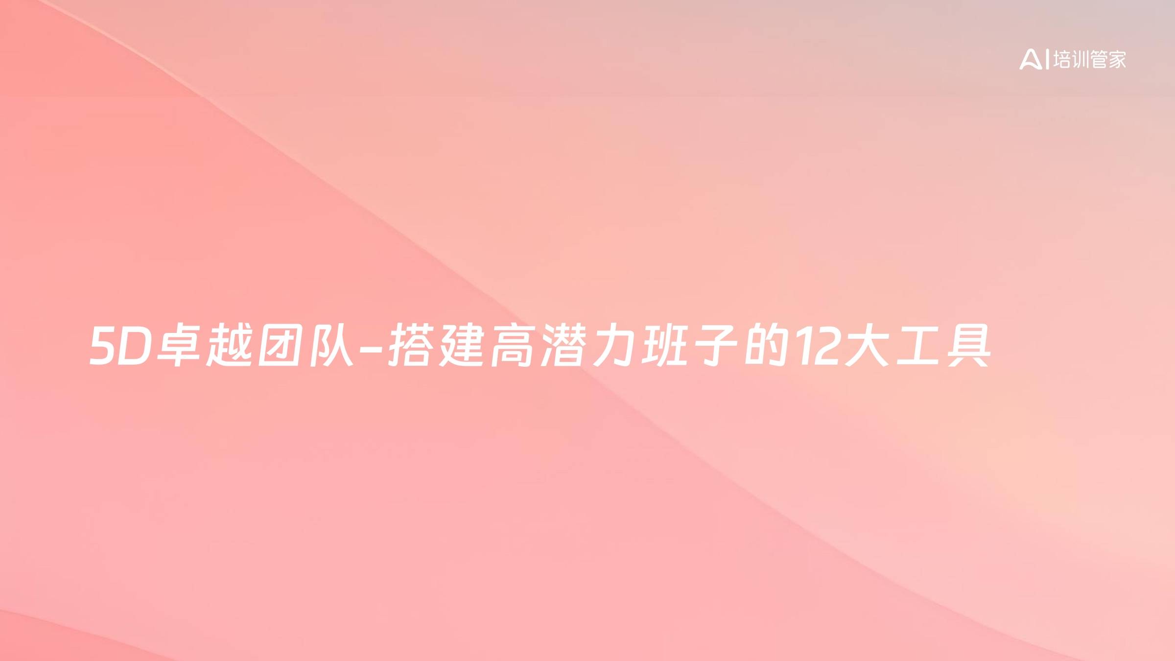 5D卓越团队-搭建高潜力班子的12大工具