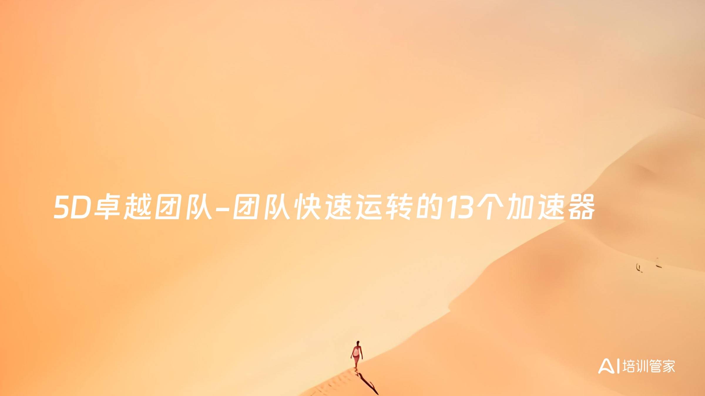 5D卓越团队-团队快速运转的13个加速器