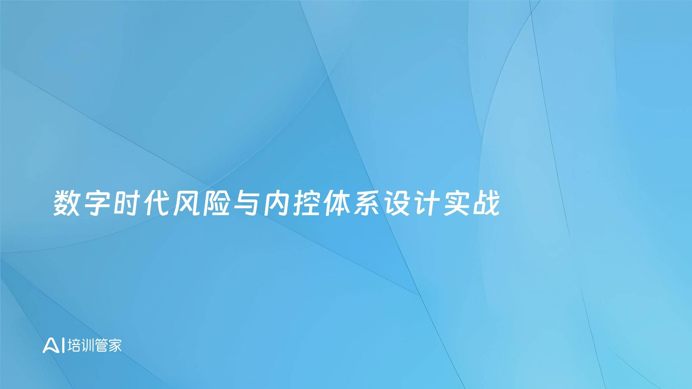 数字时代风险与内控体系设计实战