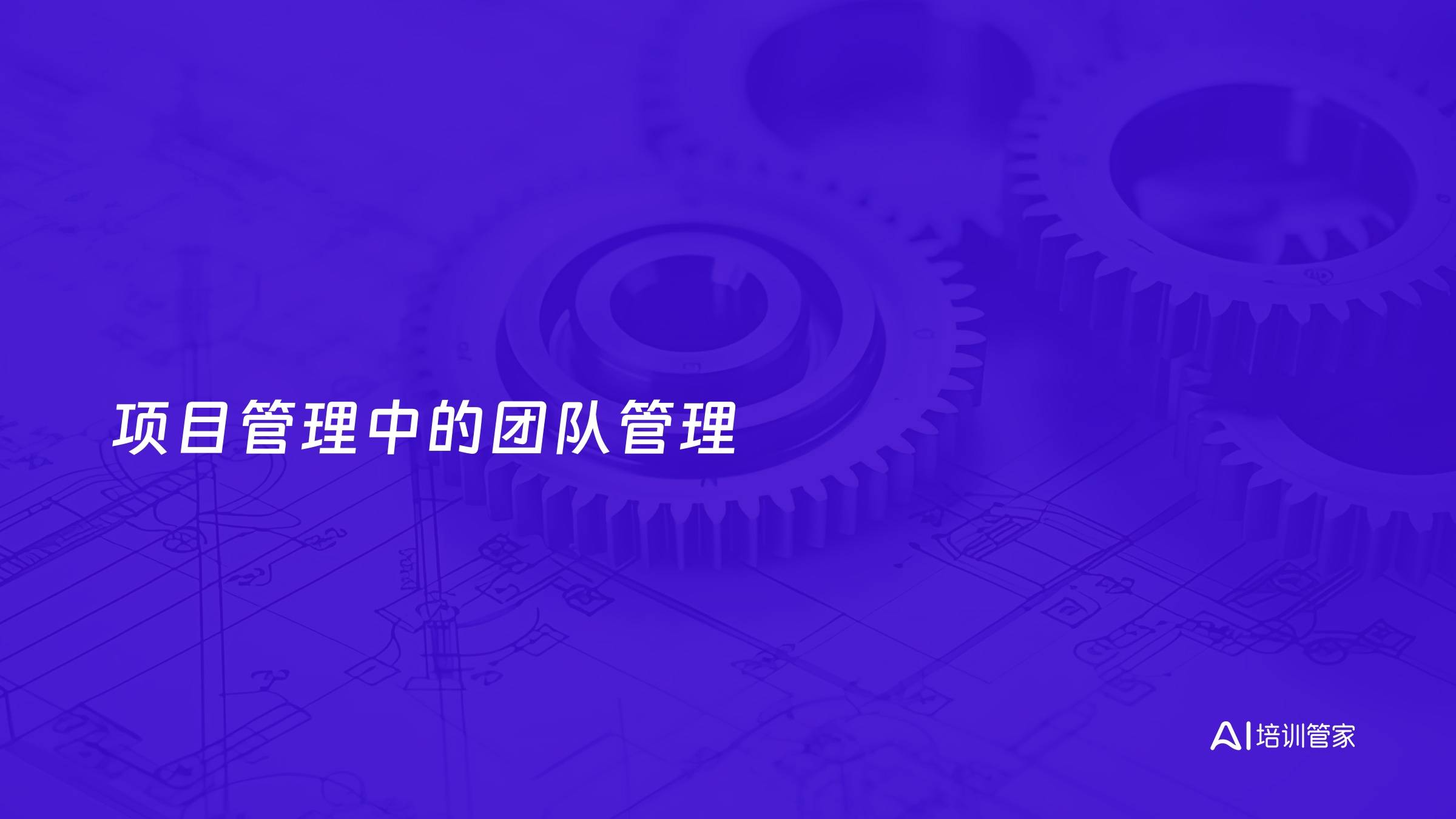 项目管理中的团队管理